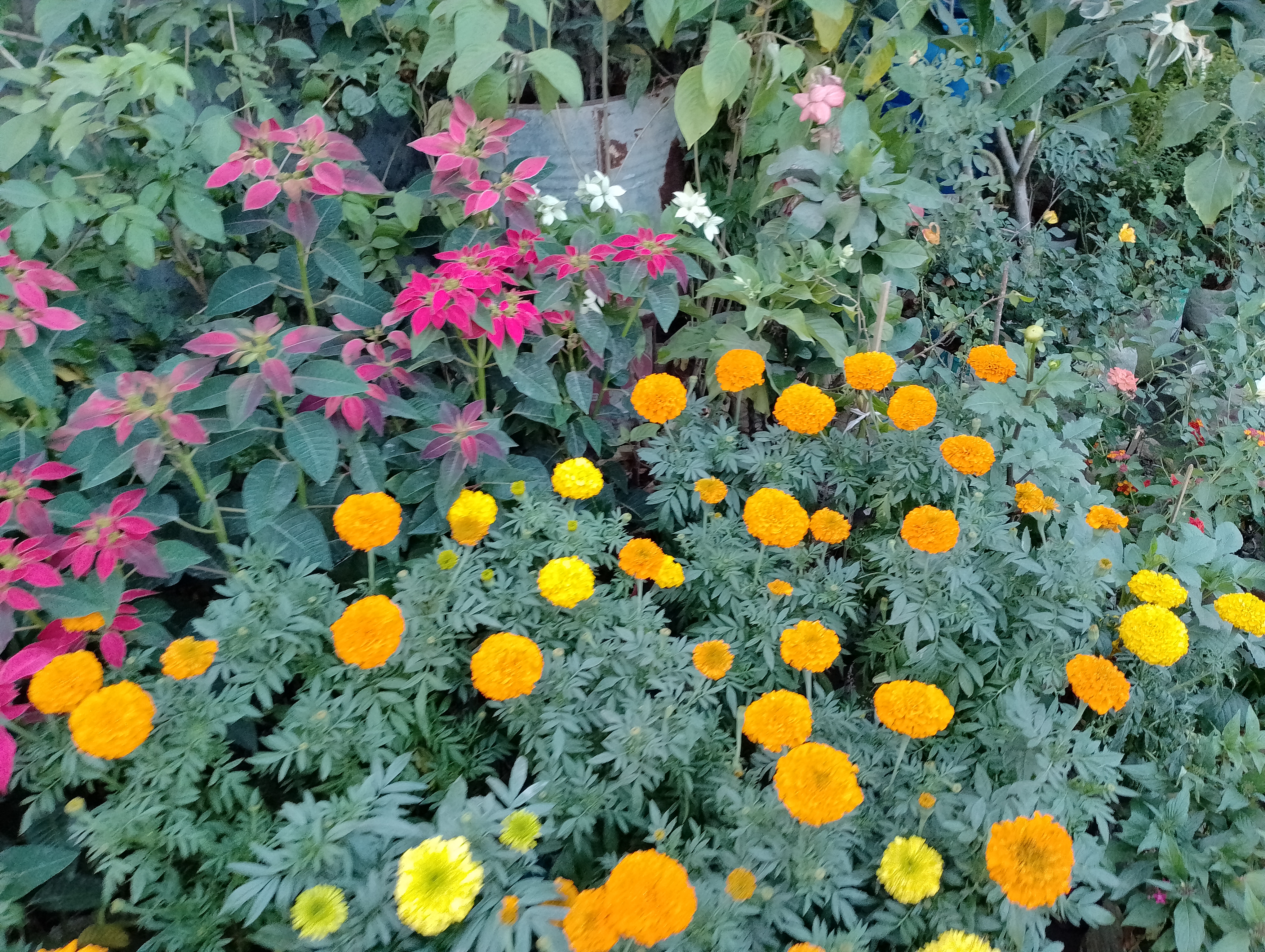 IMG_20221130_164402~2.jpg