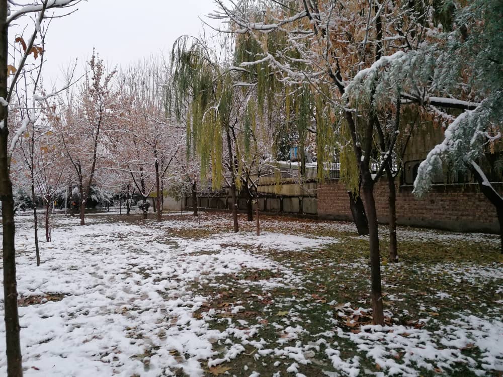 imagepark123 (21).jpeg