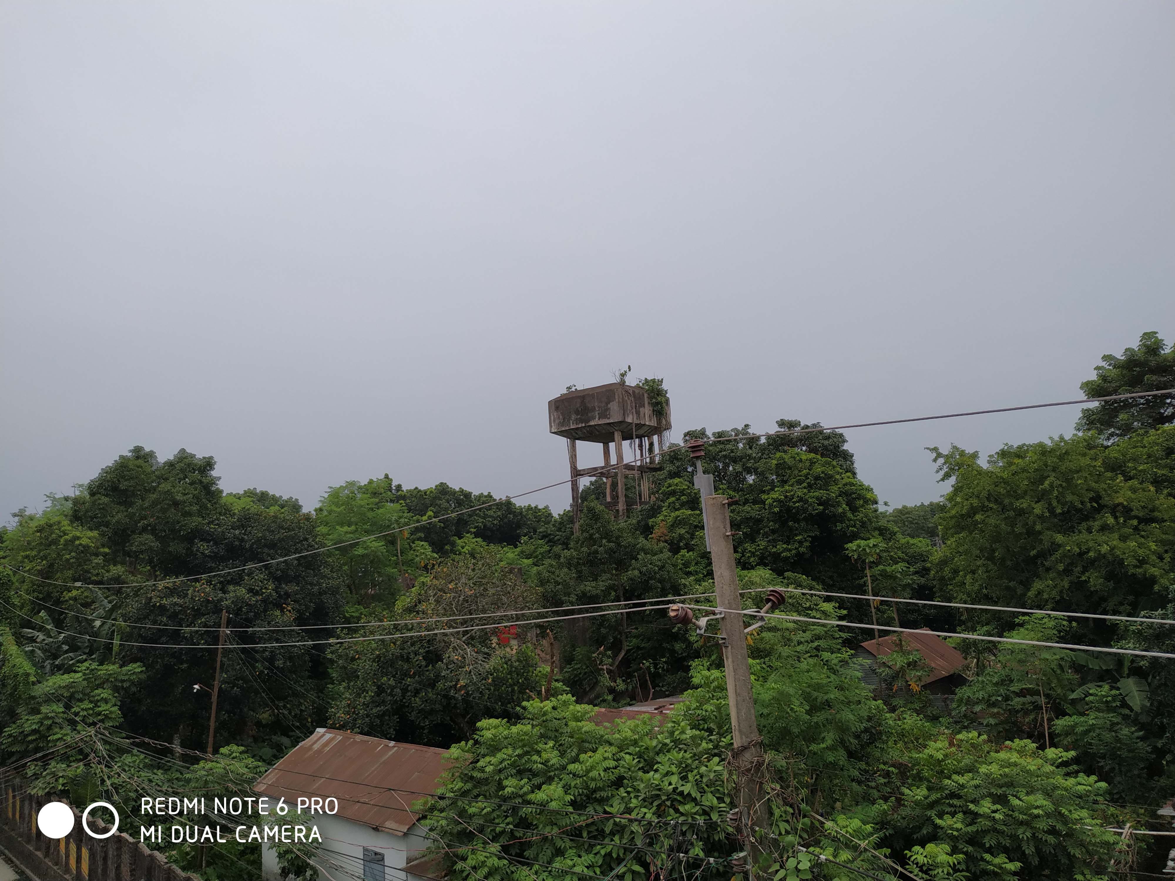 IMG_20190723_180104.jpg