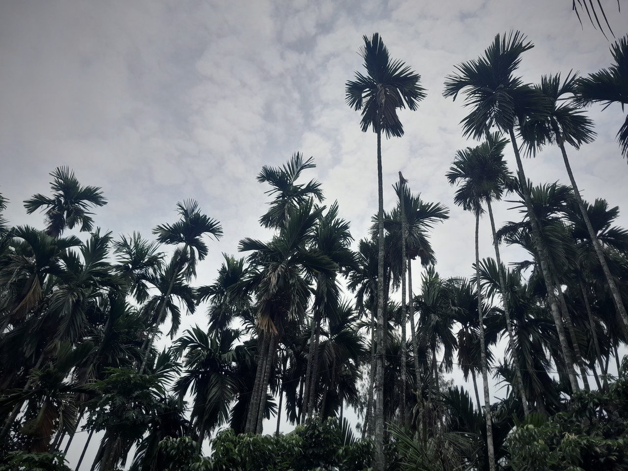 20250627_122348.jpg