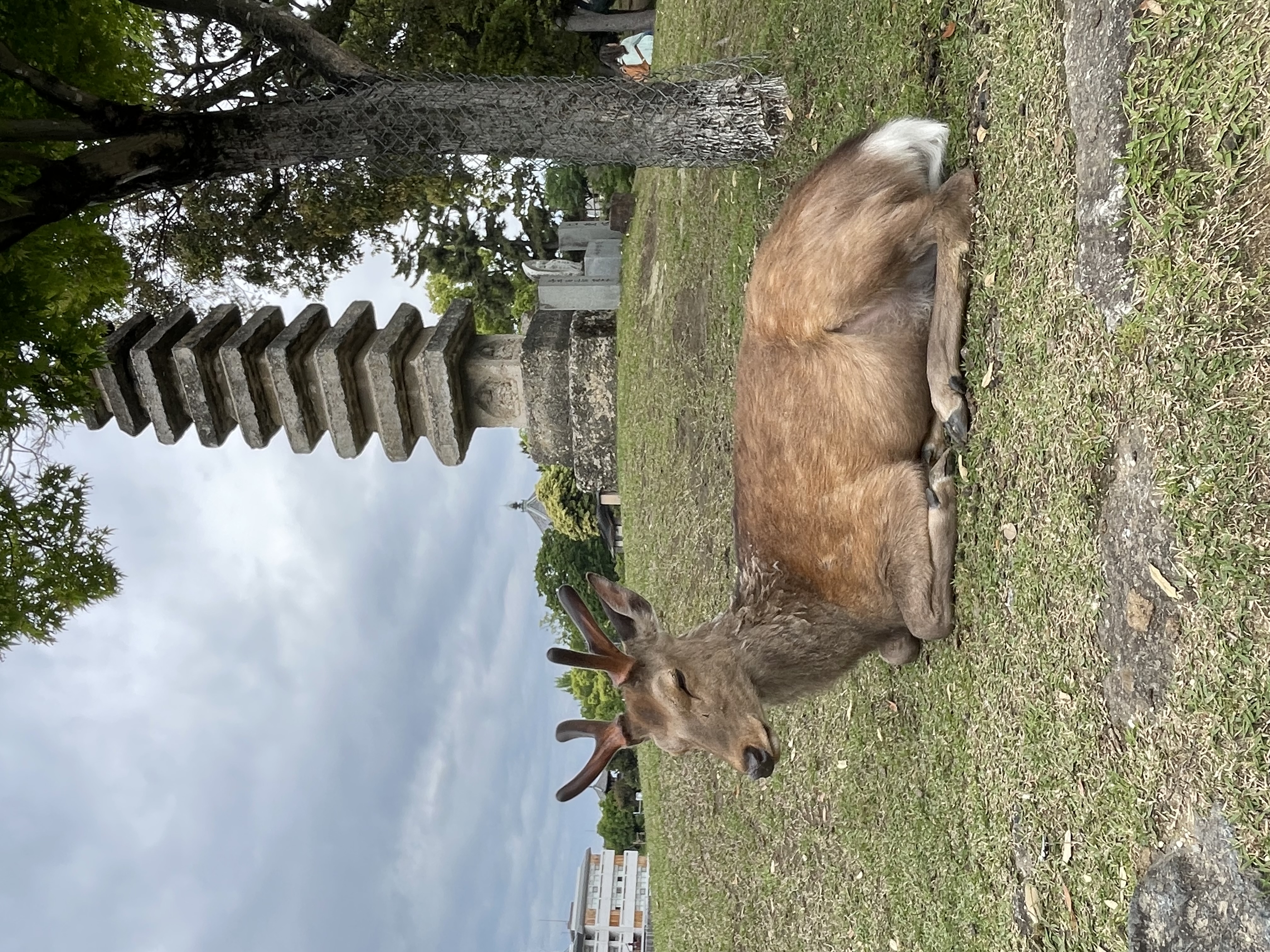 IMG_8618.jpeg