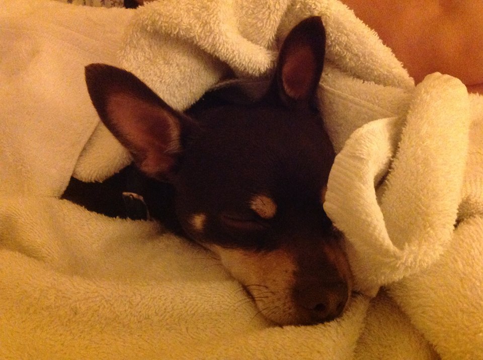 asleep.jpg