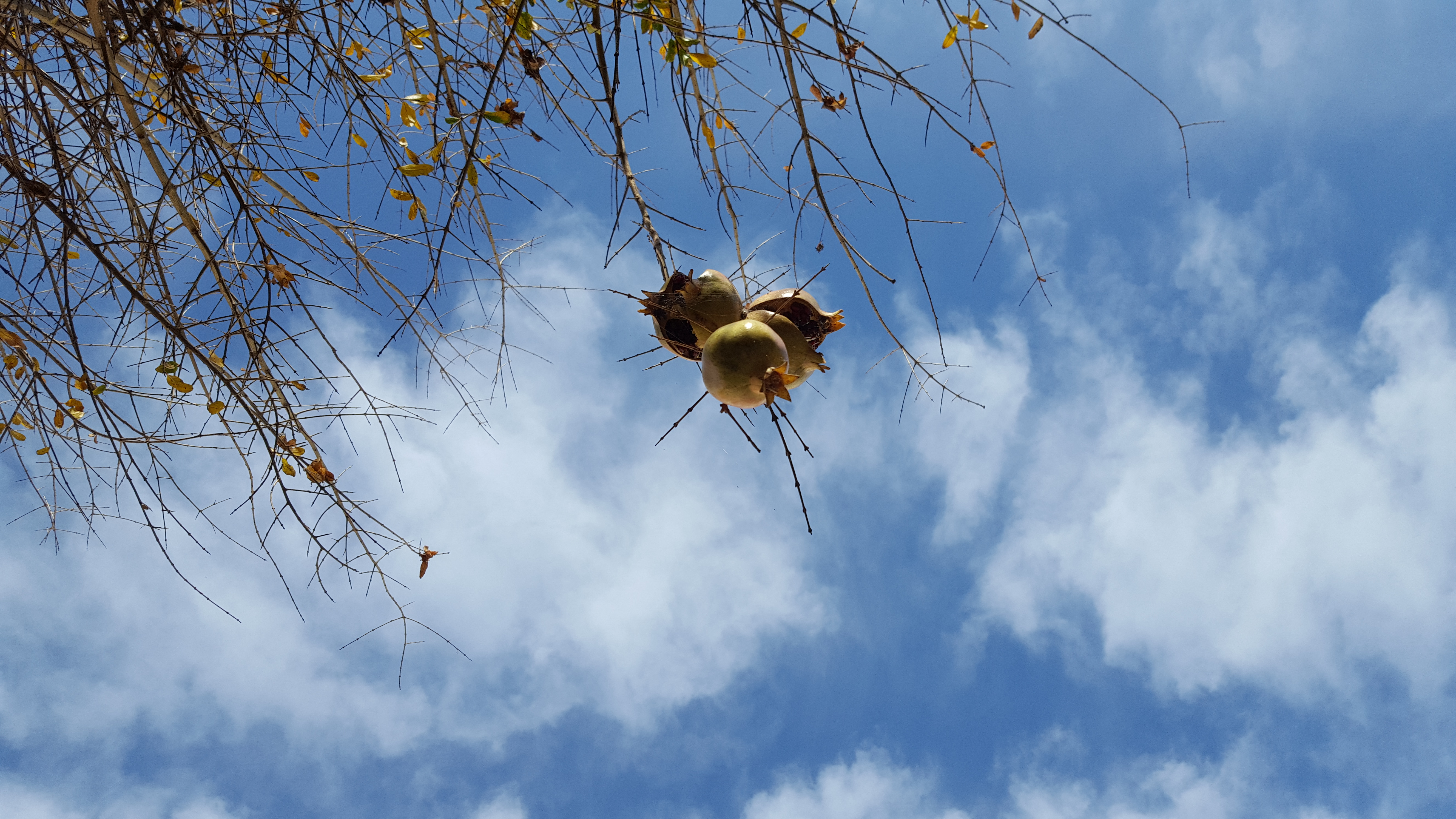 20181225_103533.jpg