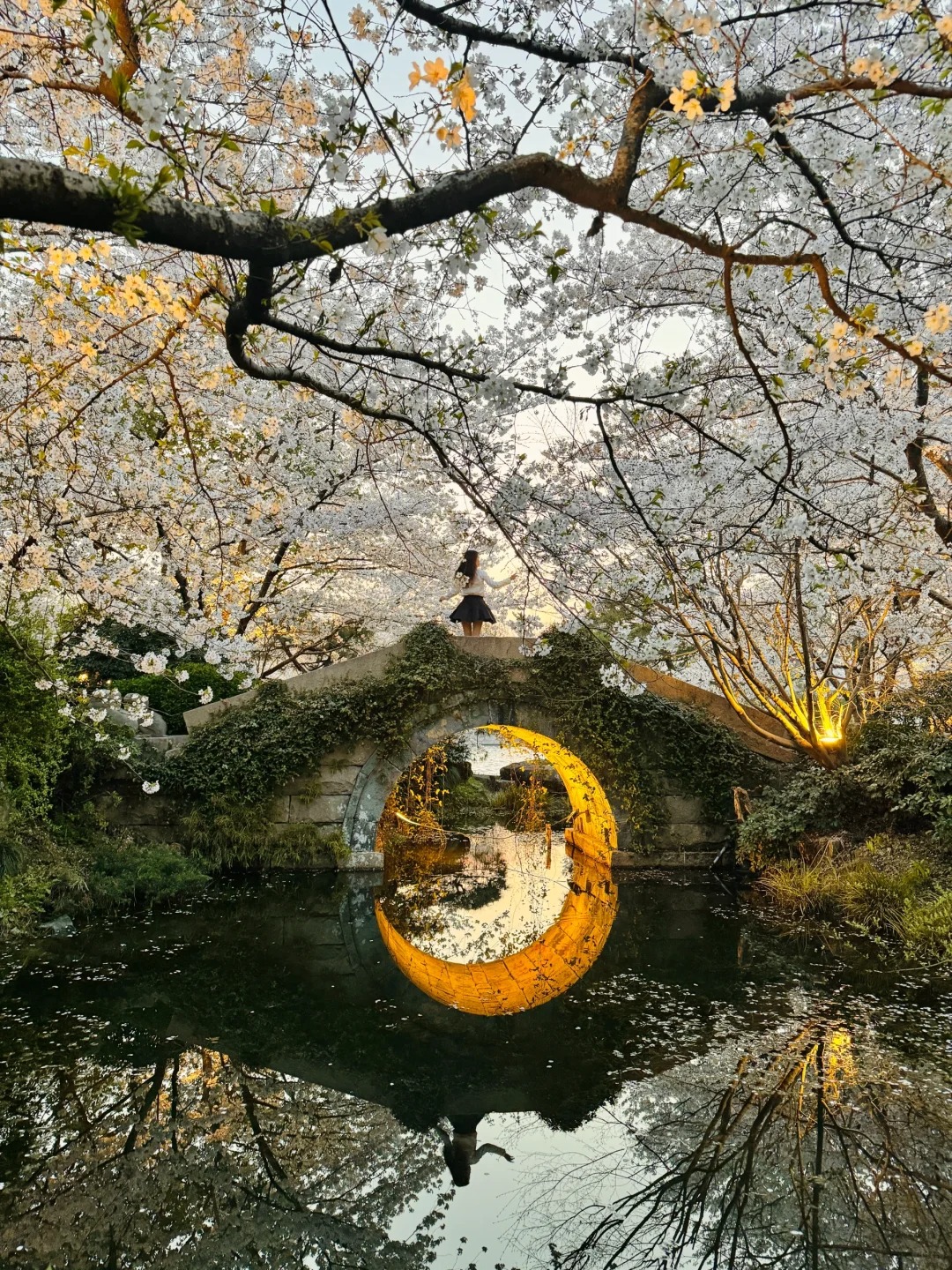 这就是我买iPhone15pm的意义📸春夏秋冬live_ (2).jpg