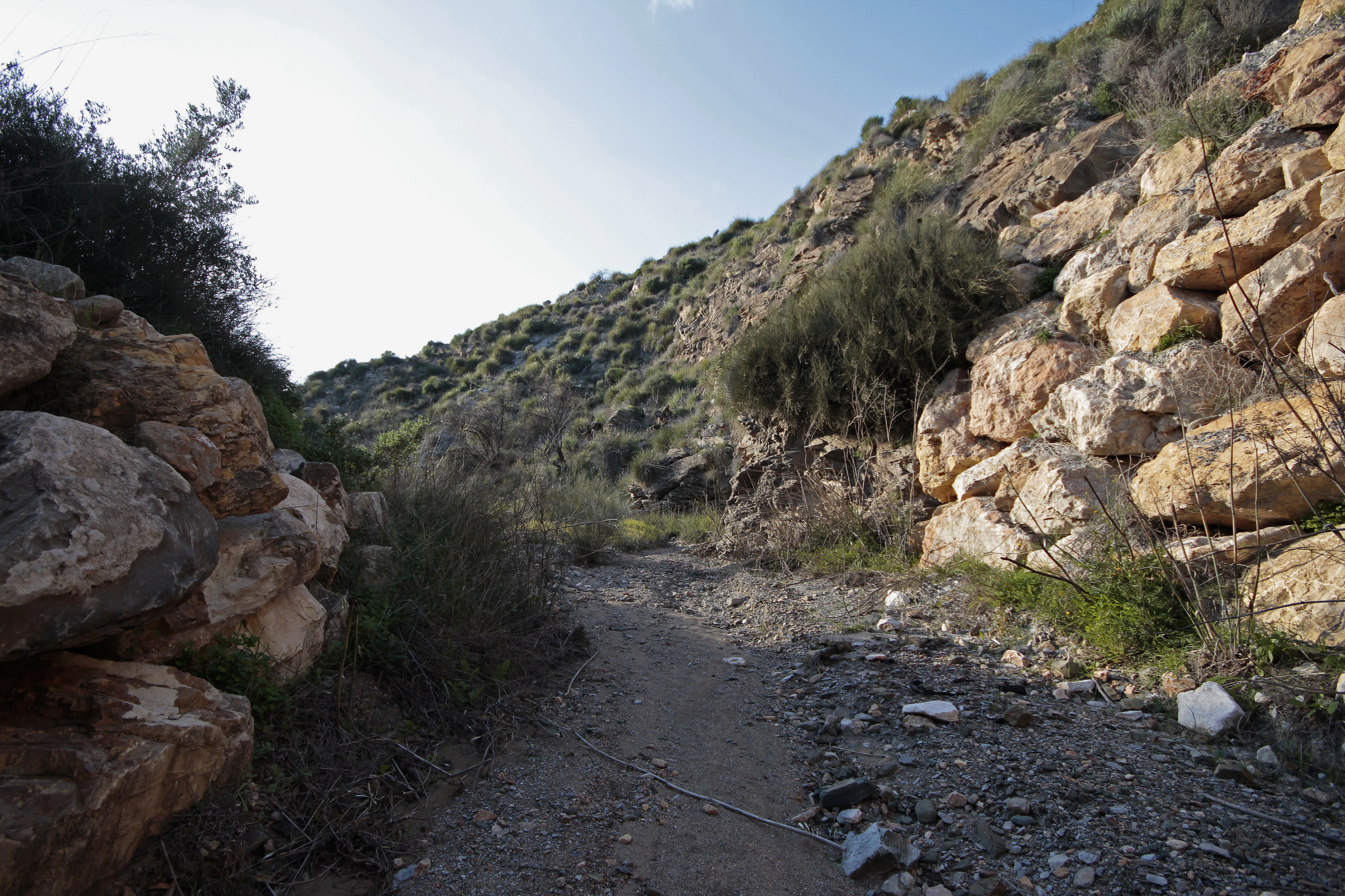 _MG_1826.jpg