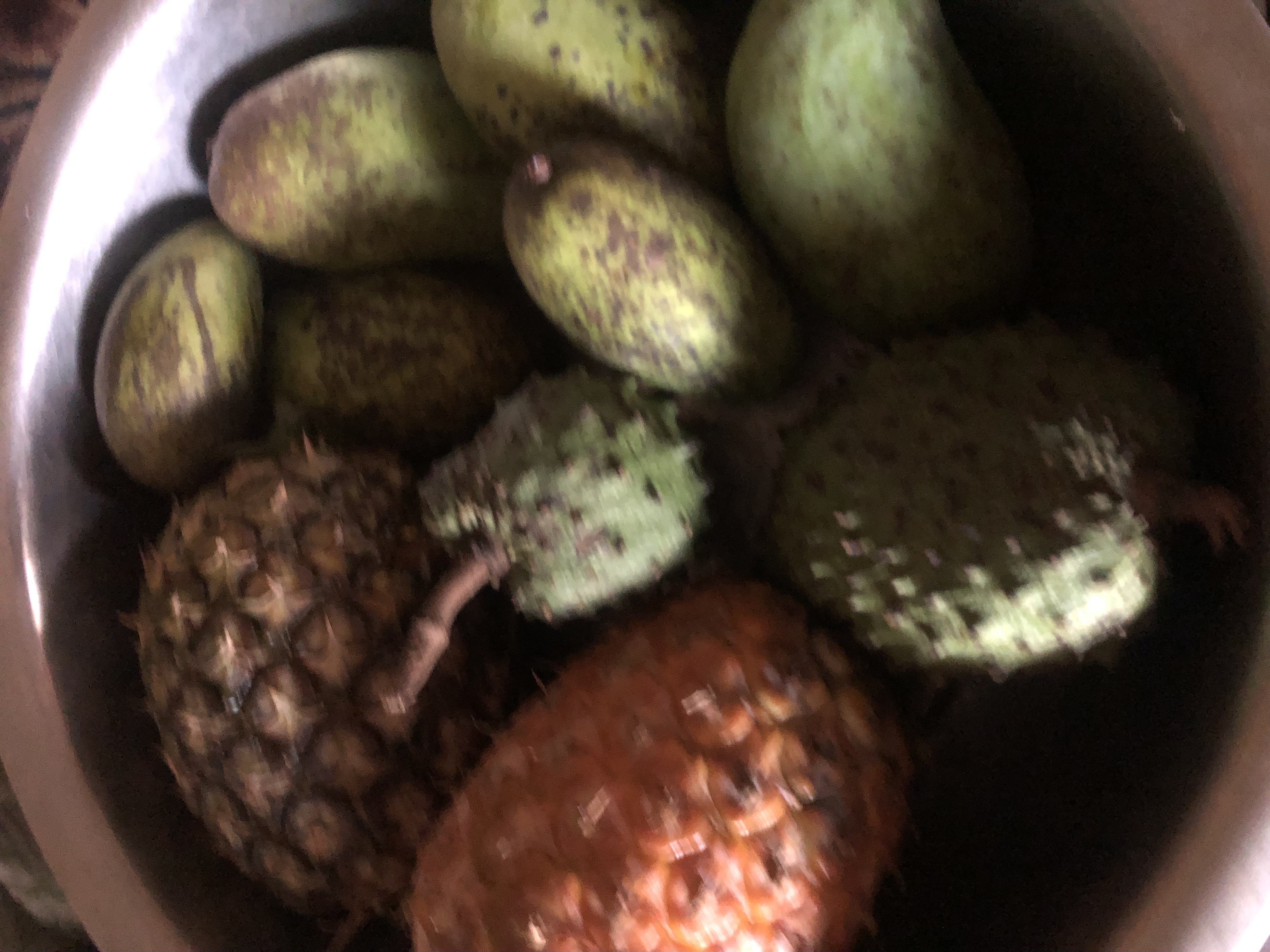 IMG_1531.jpeg