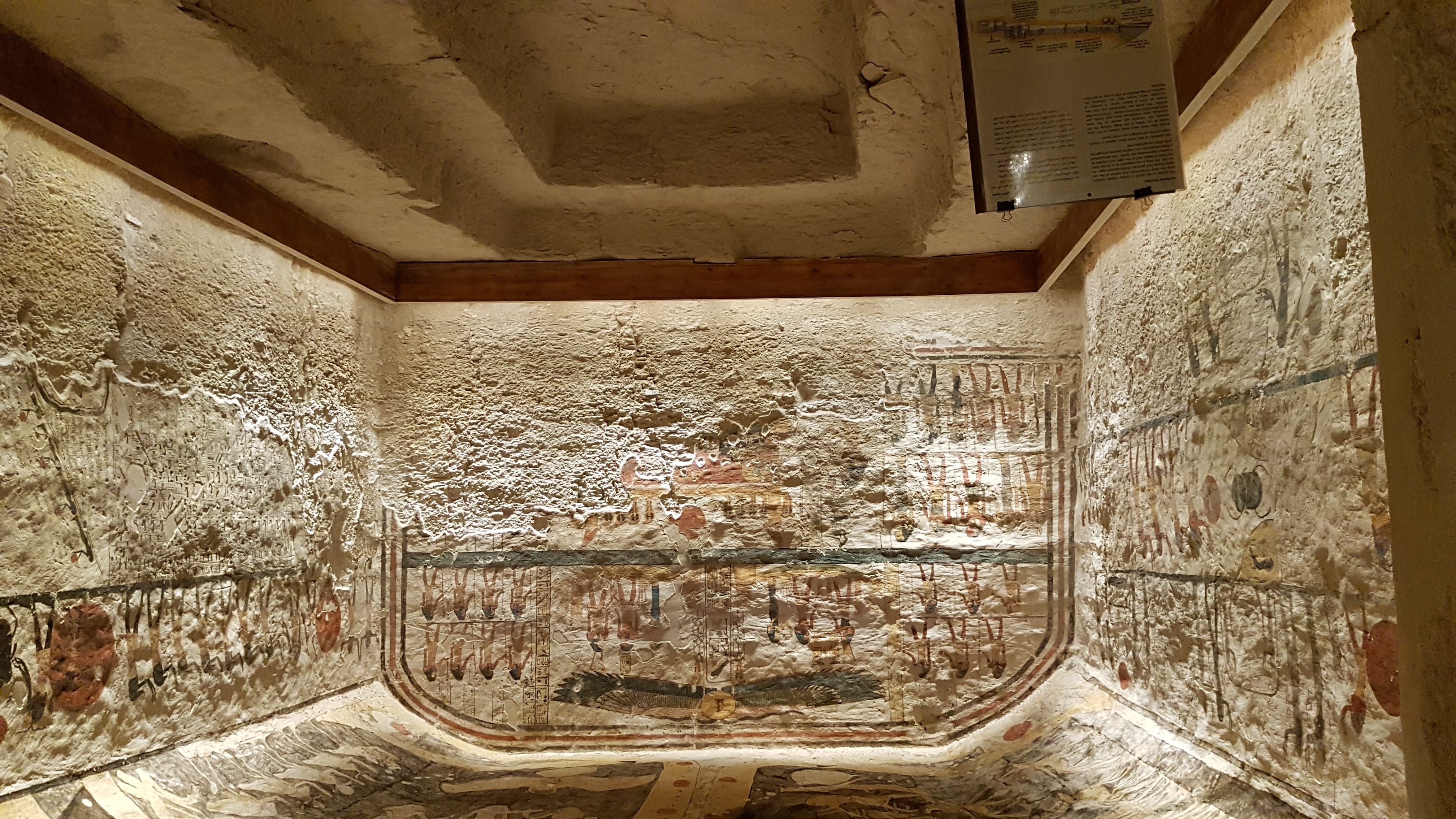 20190606_152017.jpg