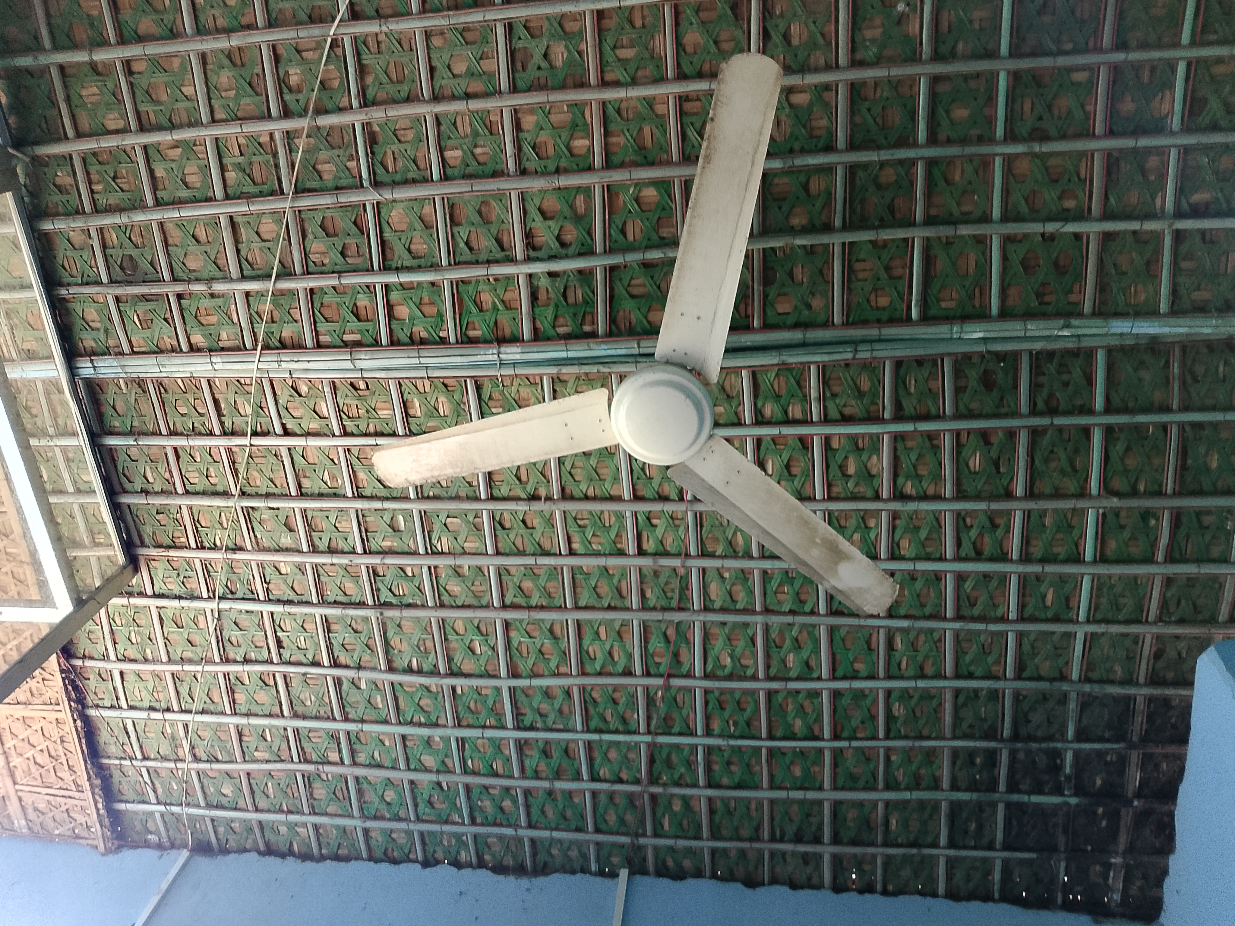 1000068511.jpg