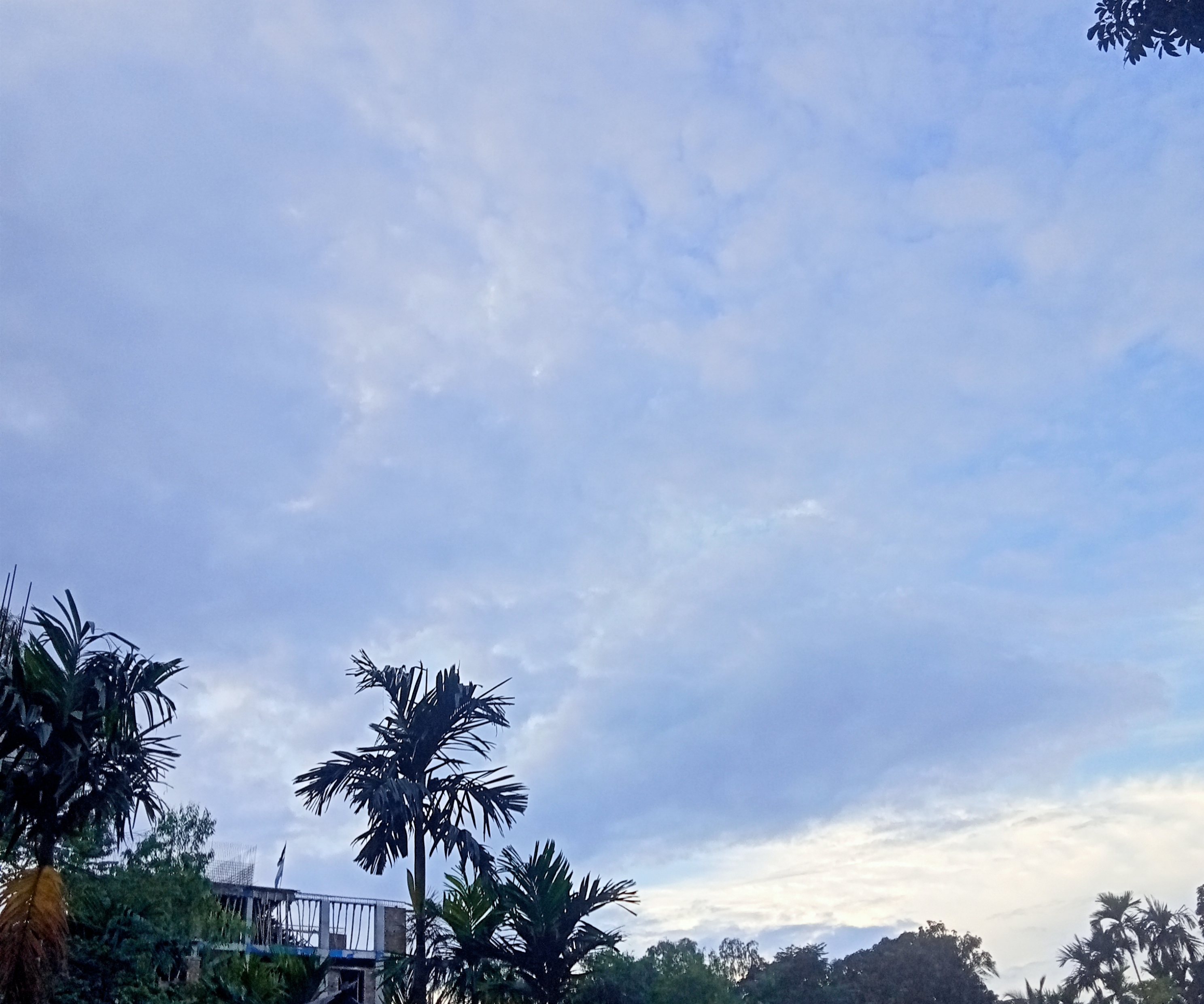 IMG_20260802_195309.jpg