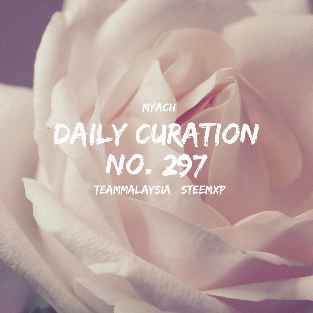 lets build the largest steempress network.jpg