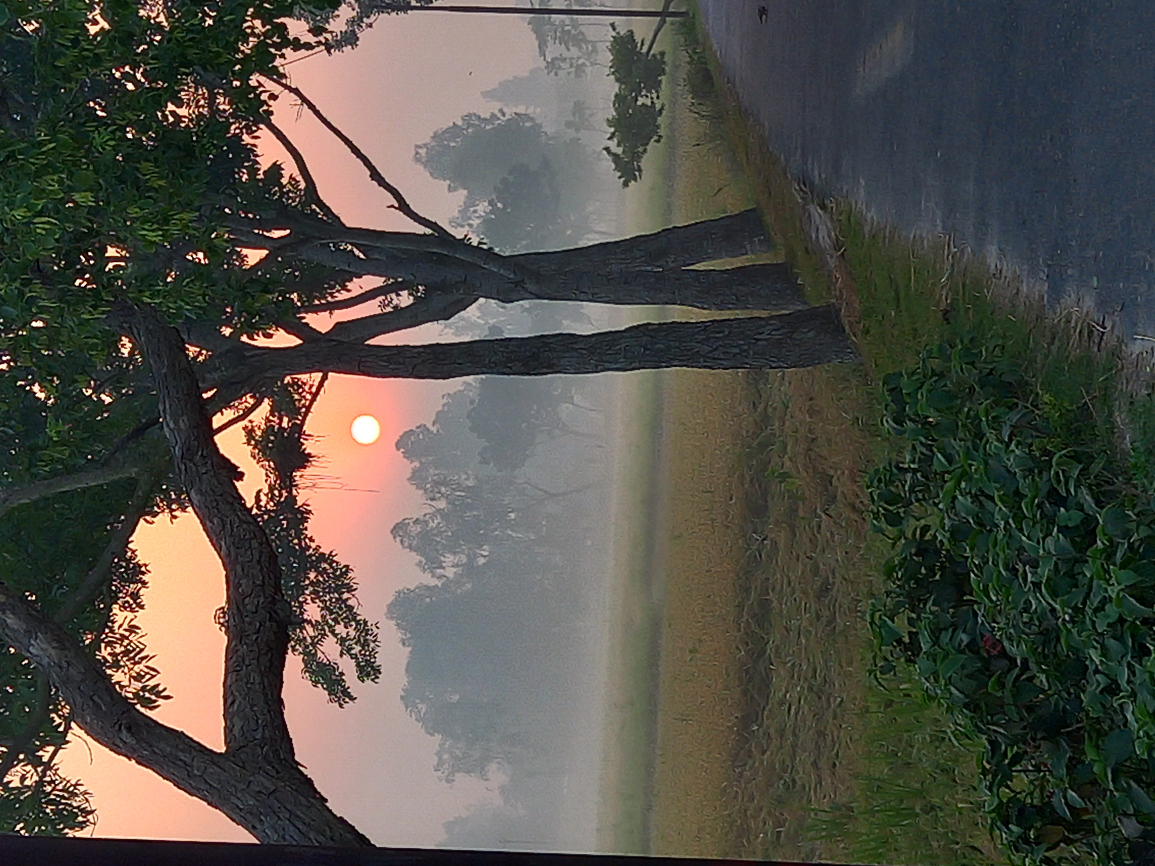 20230508_054612.jpg