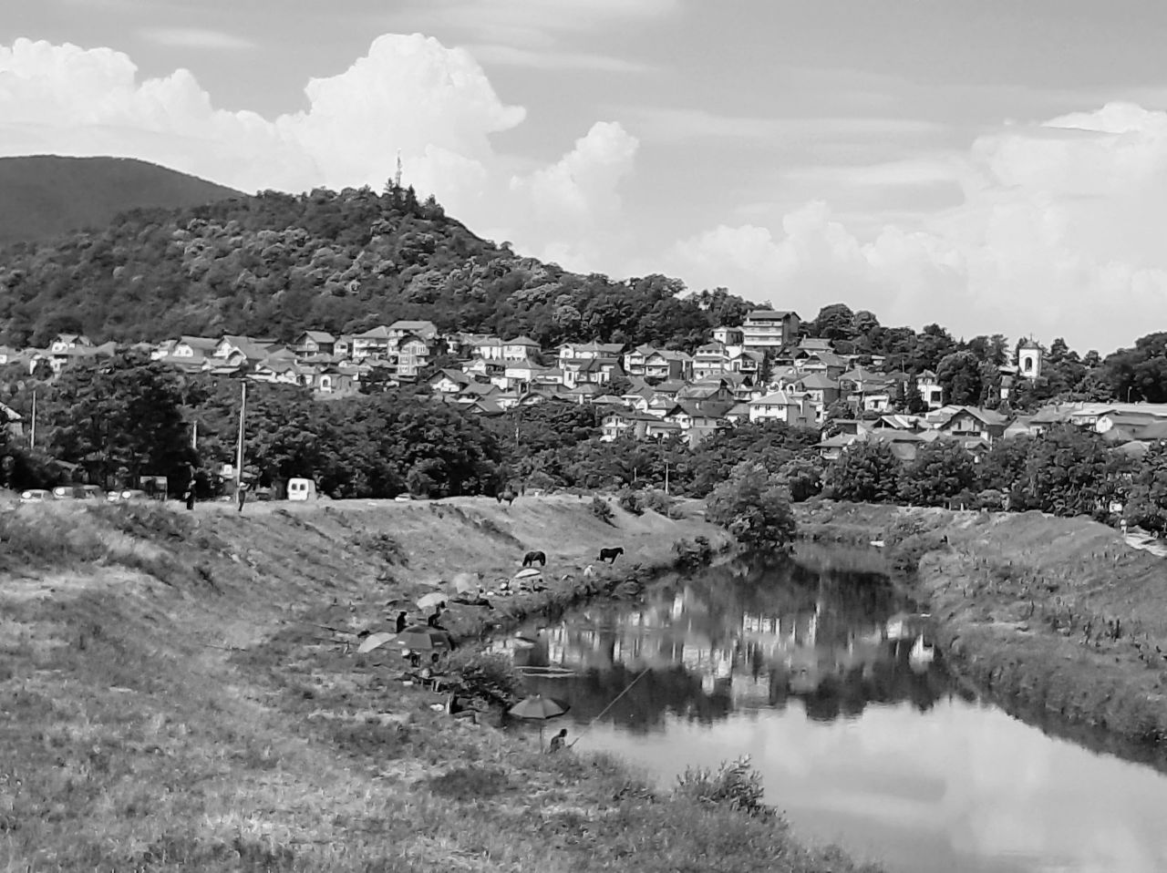20210606_103357_bw.jpg