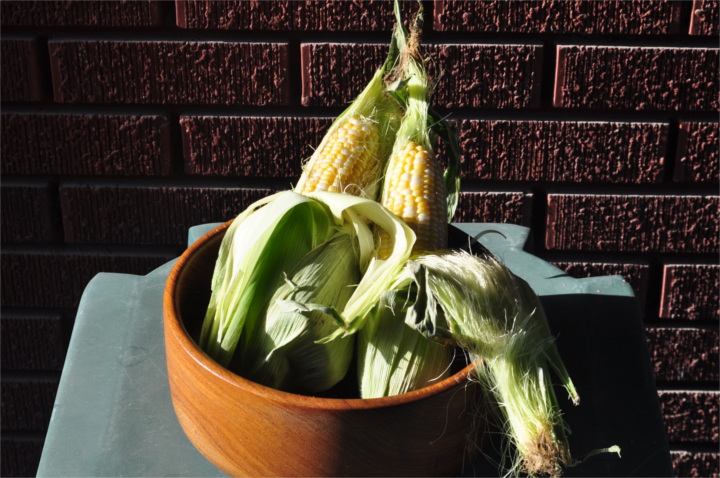 corncob.jpg