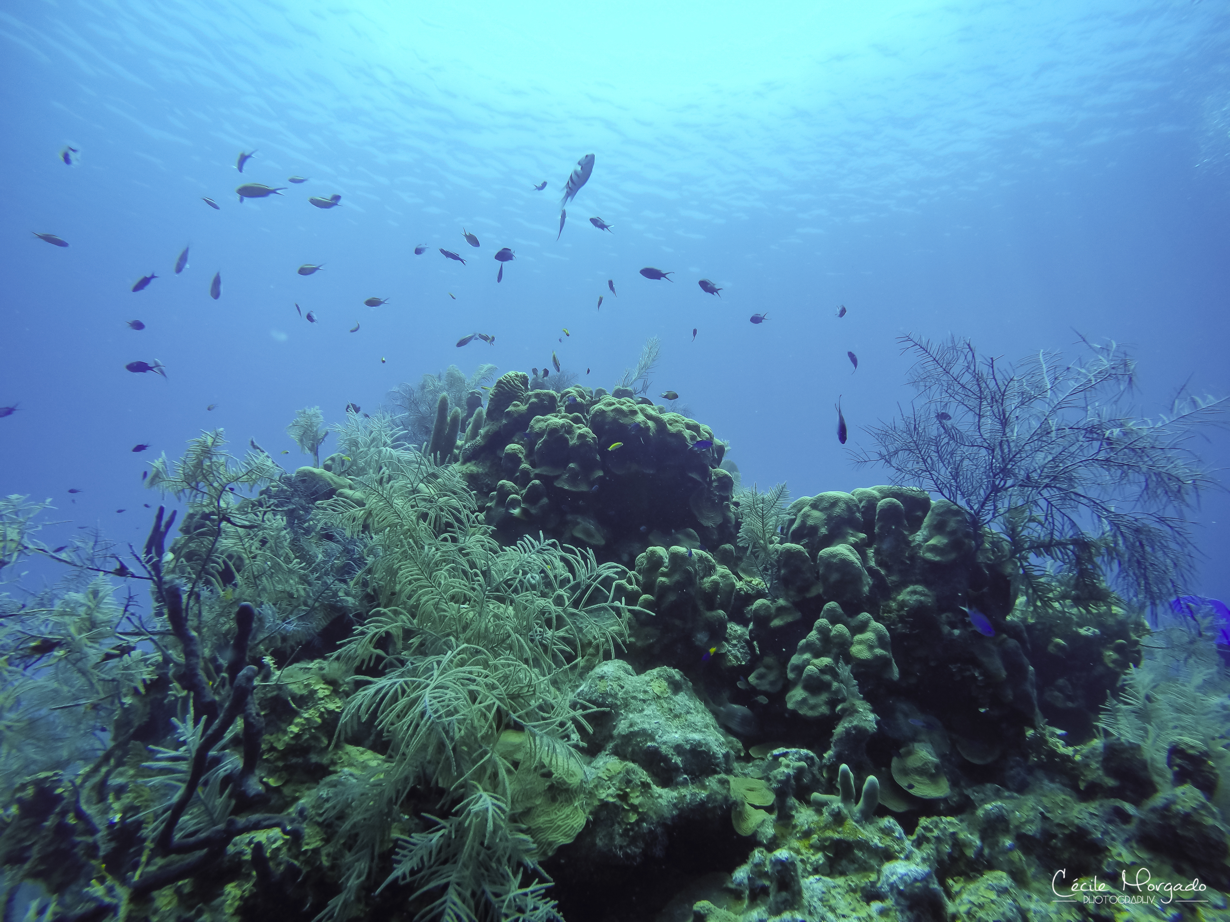GOPR0971-28.jpg