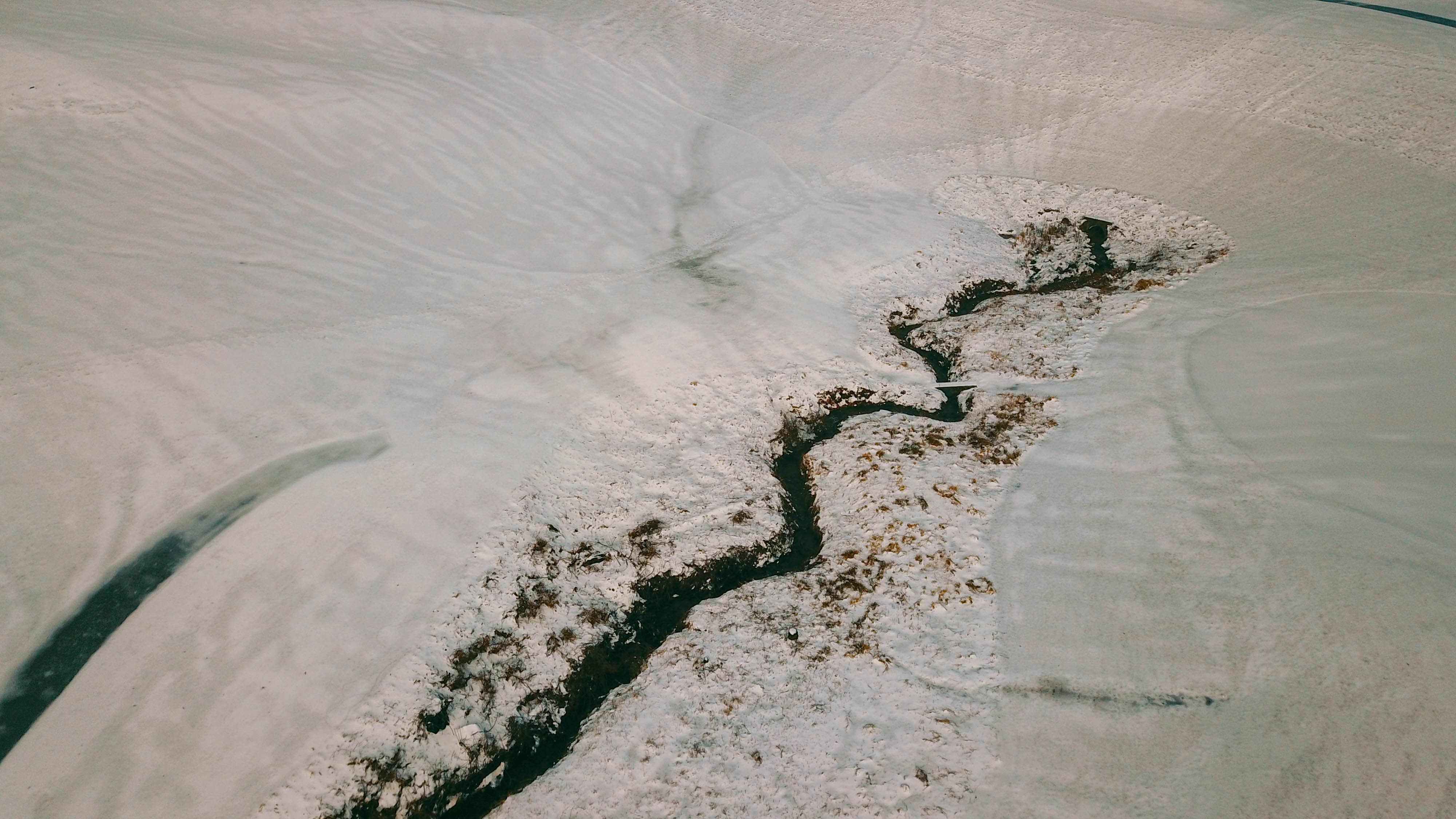 DJI_0499.jpg