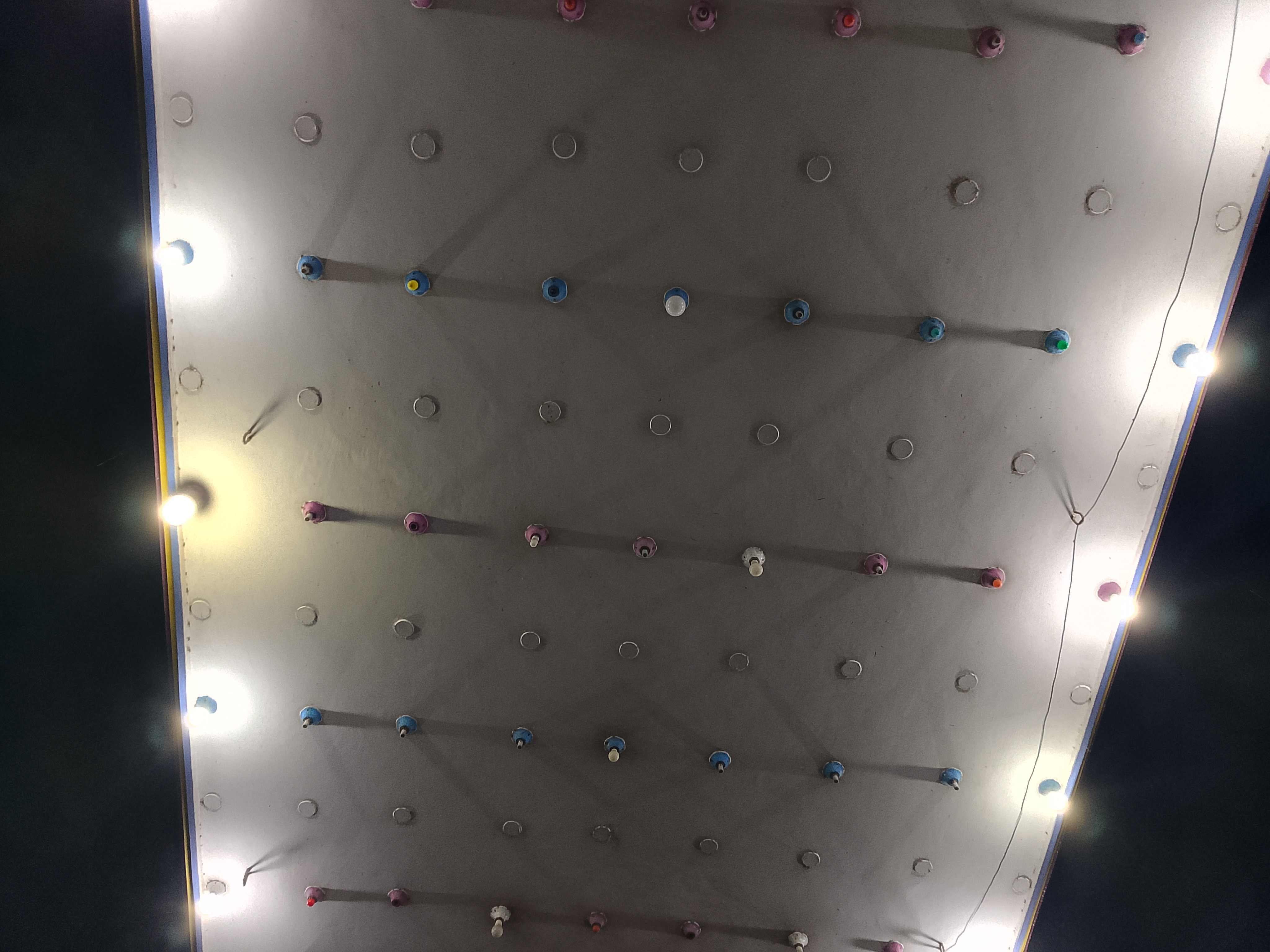 1000068488.jpg