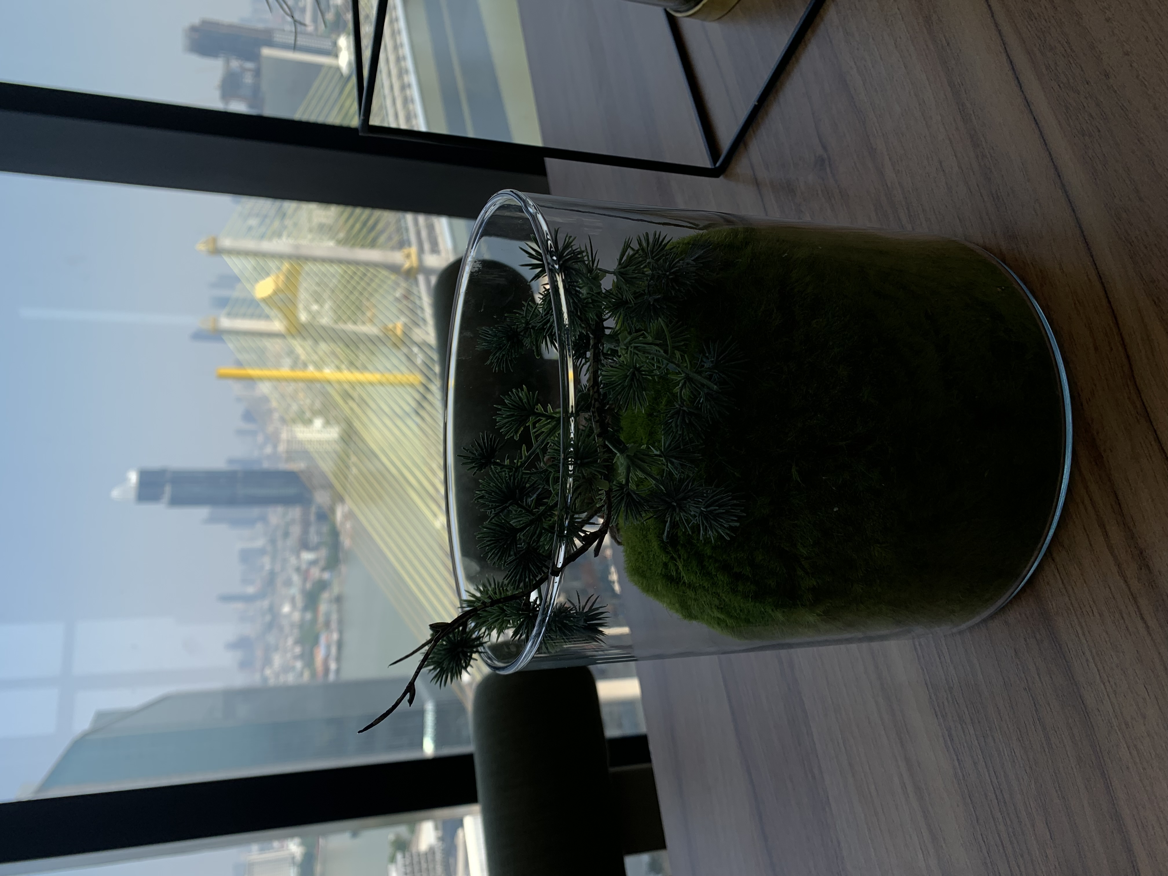 my brother’s condominium18.jpg