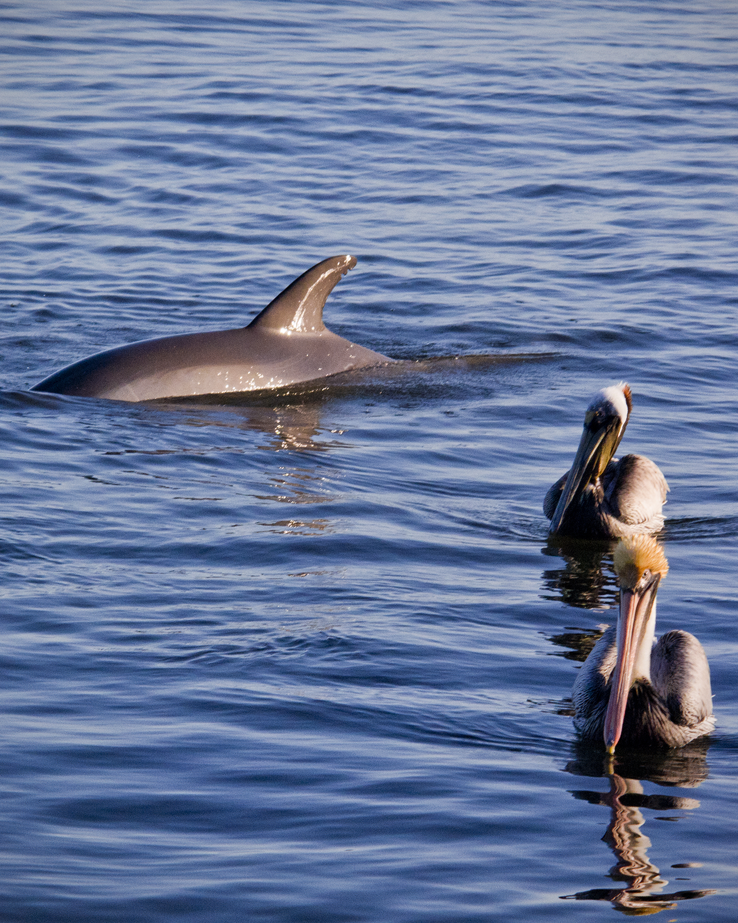 FishingTogether (2018_06_24 03_13_06 UTC).jpg