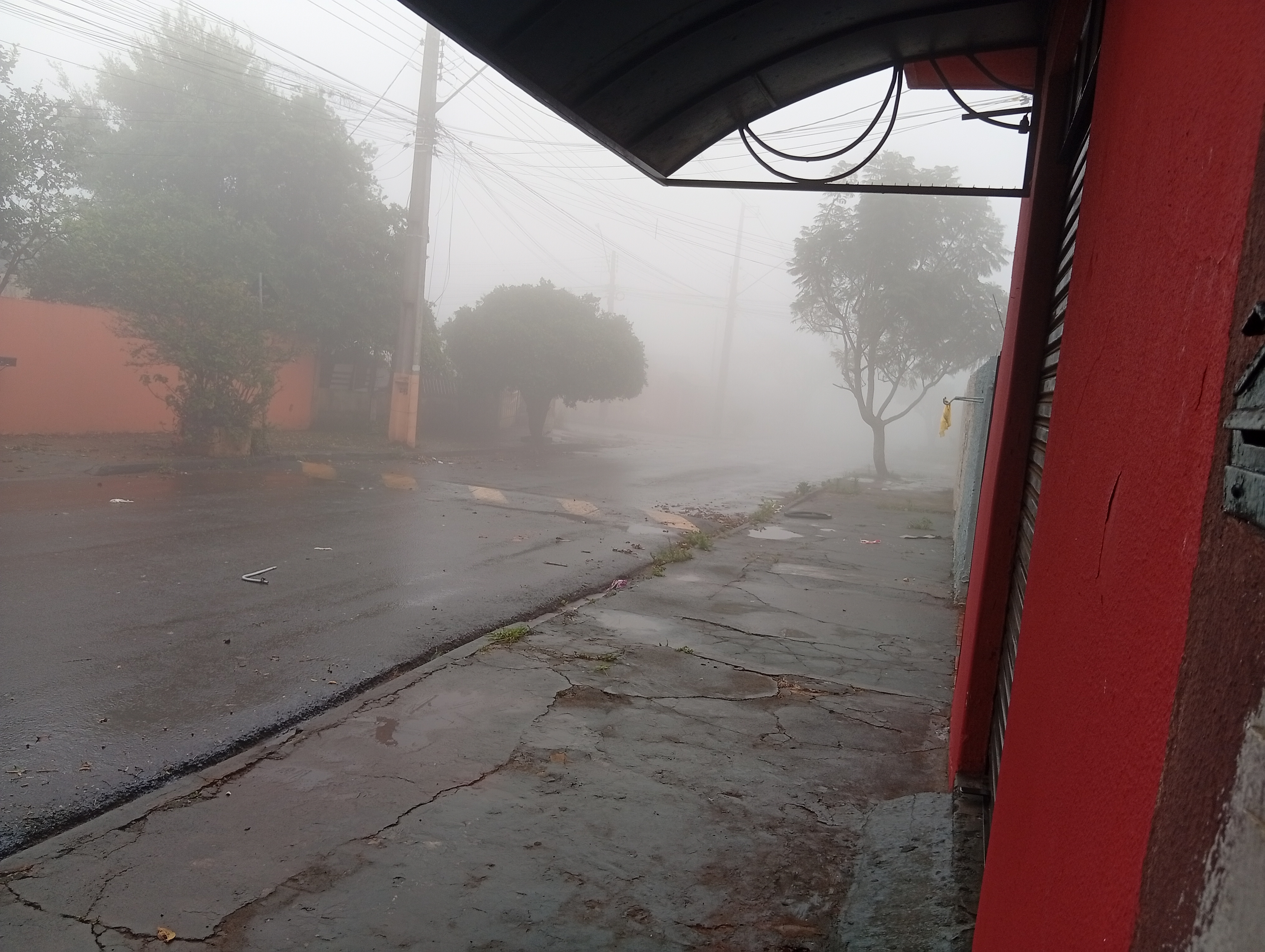 87806.jpg