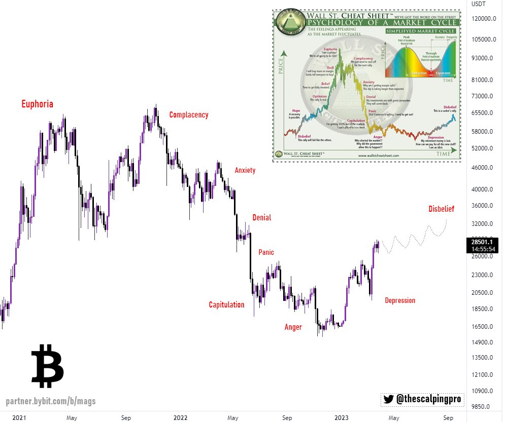 Looks like we are entering the Disbelief Phase... — Steemit