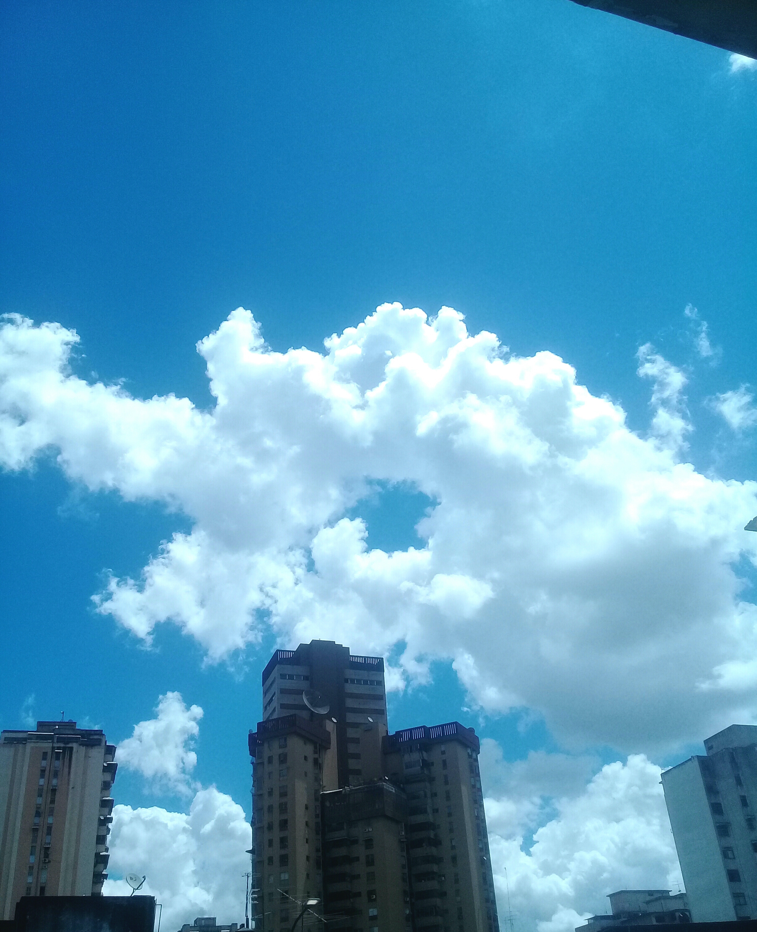 20210220_145648.jpg