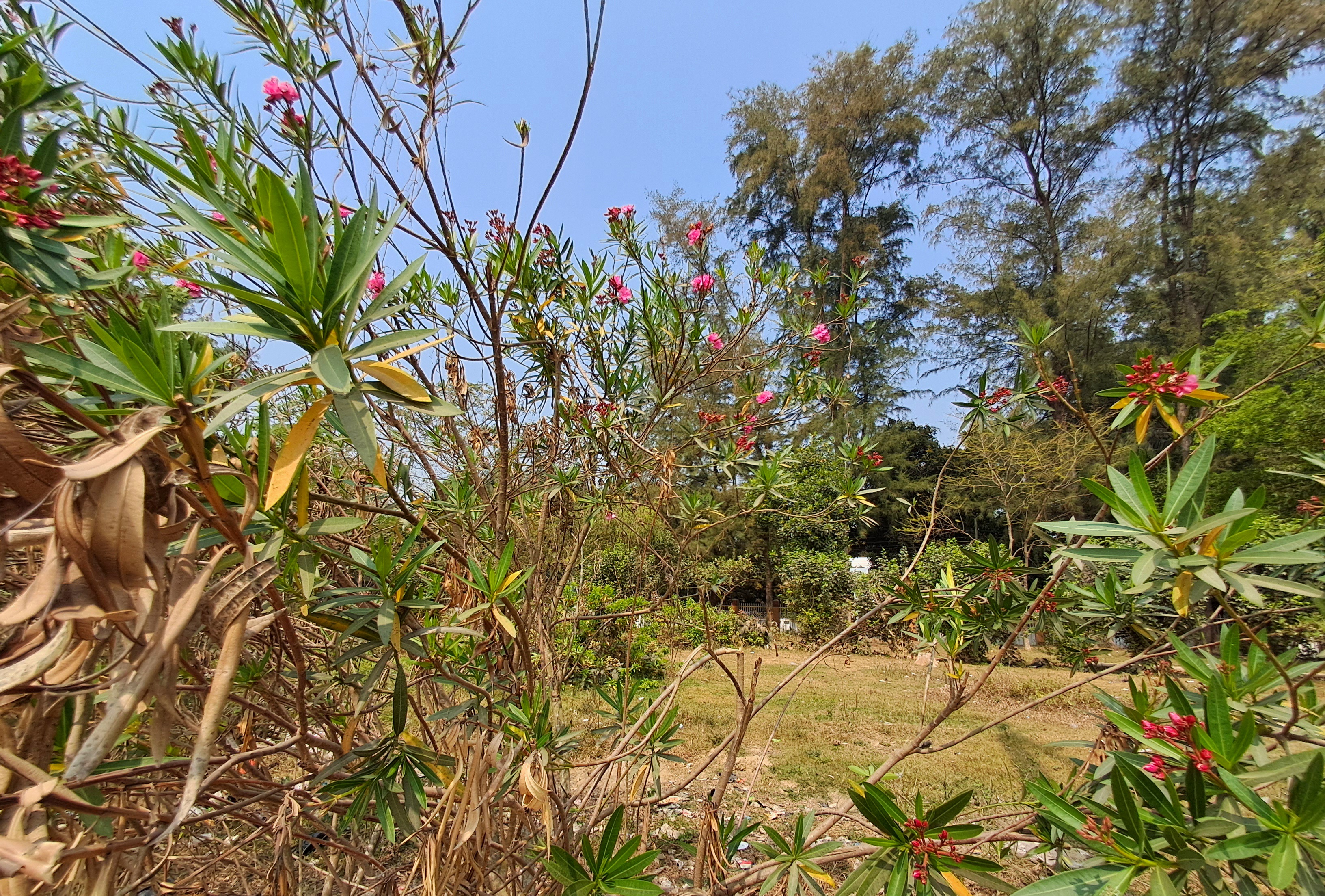 20260225_114725.jpg