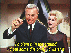 giphy (15).gif