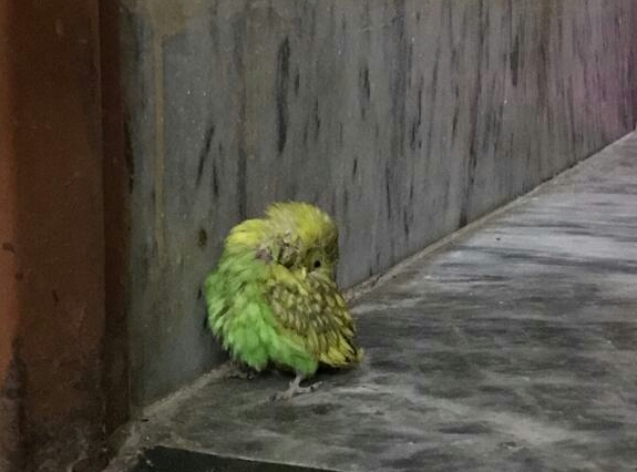 20220108_014130.png