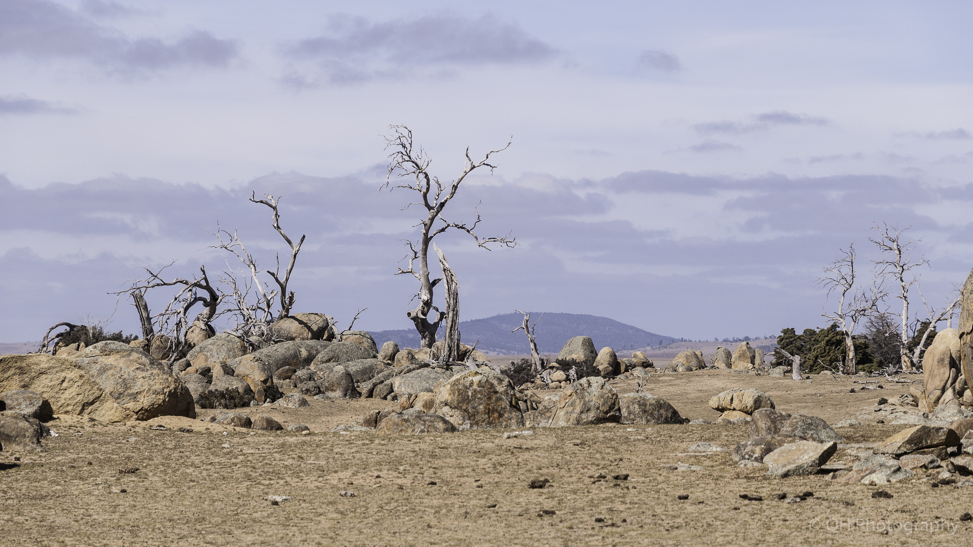 Monaro Plains-4799.jpg