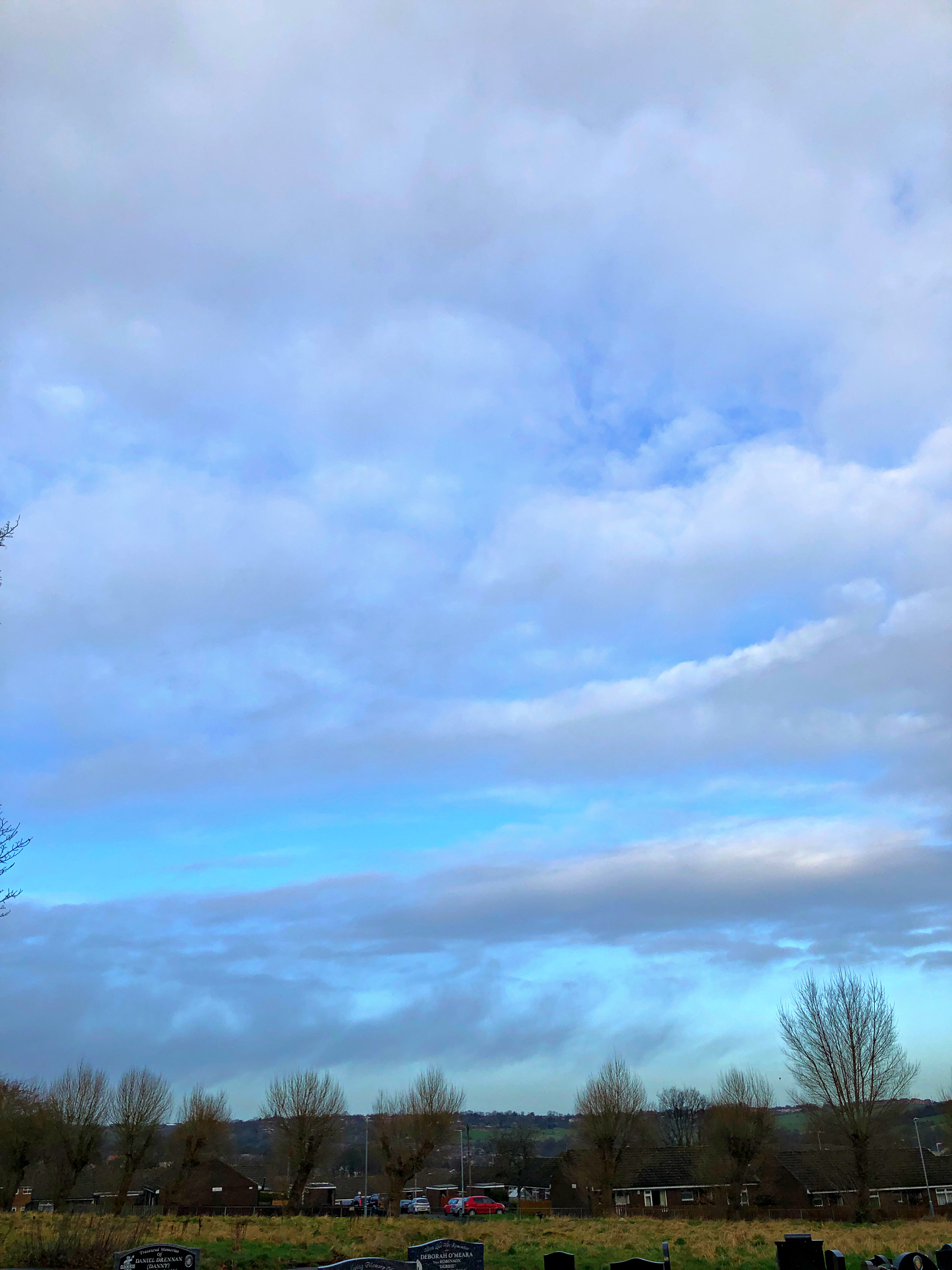 7E694B5C-2DE2-4C89-BA60-707A9C5FA588.JPEG