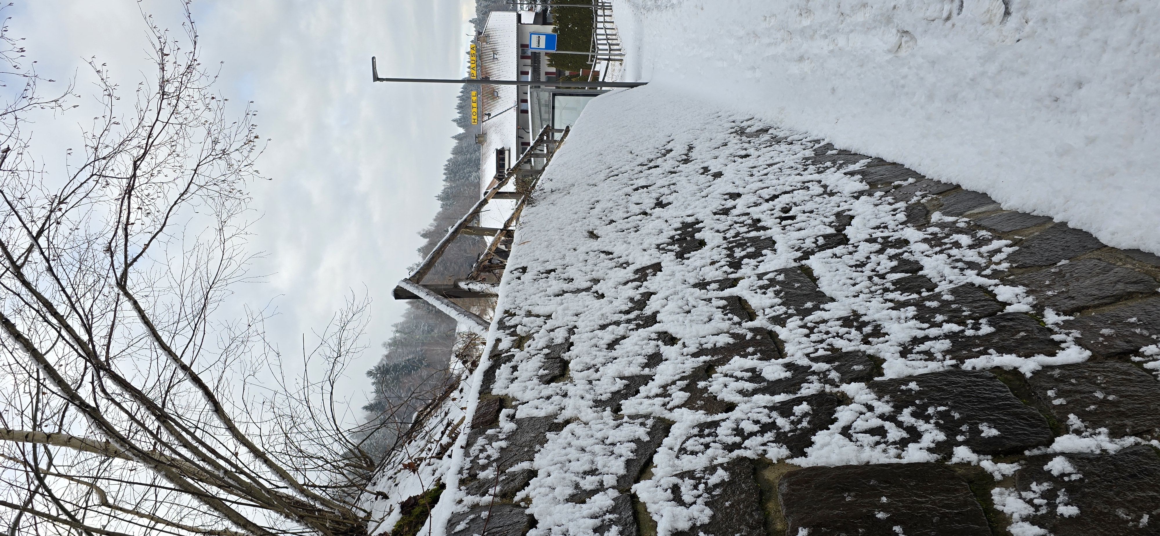 20260124_150323.jpg