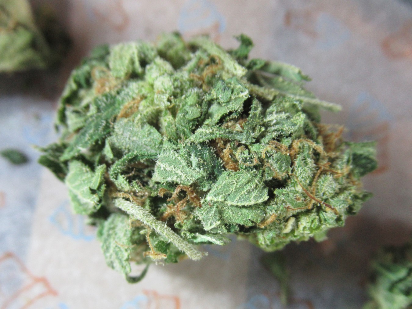 fullnugtop.jpg