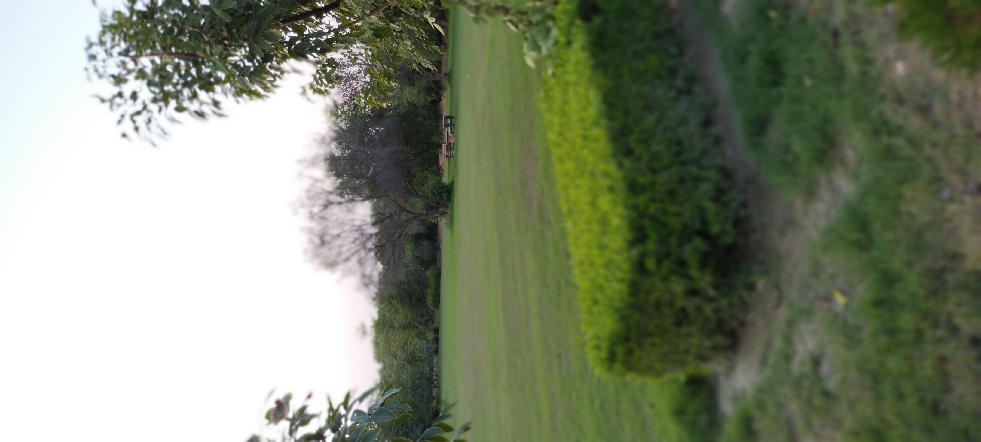 IMG_20211005_172609.jpg