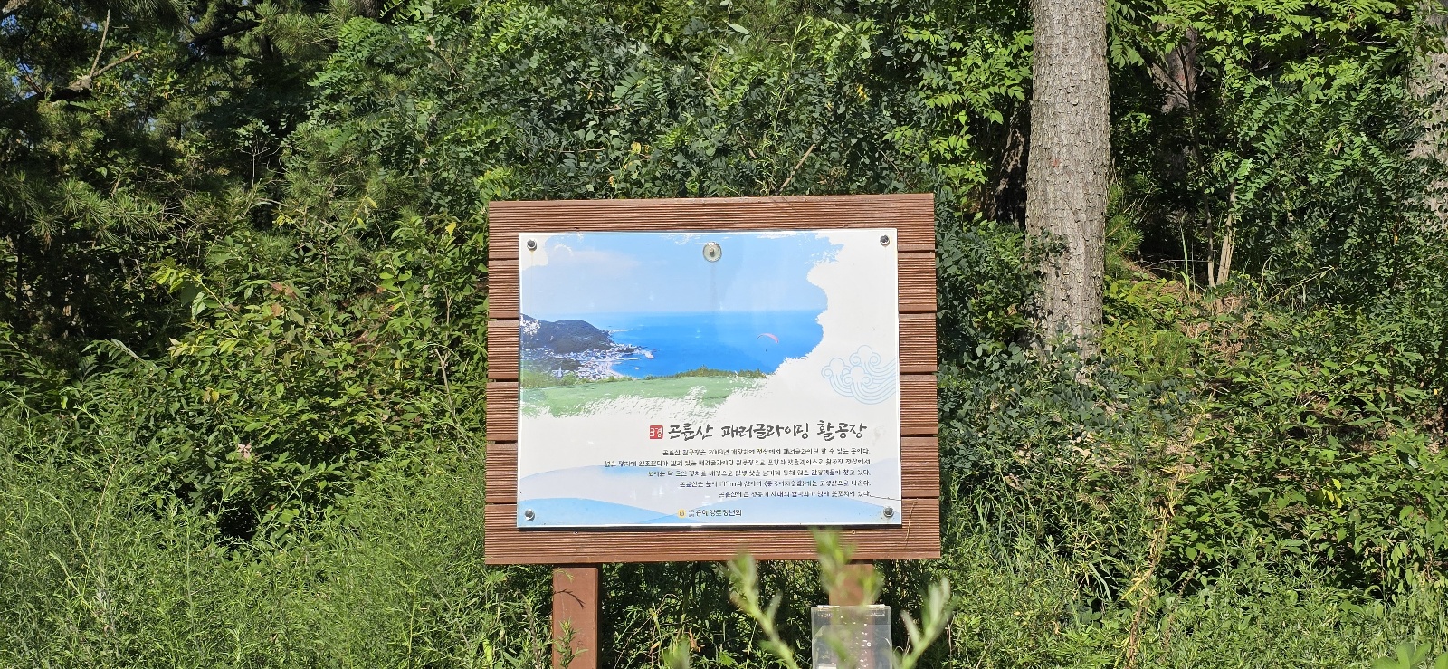 KakaoTalk_20240804_174811897_09.jpg