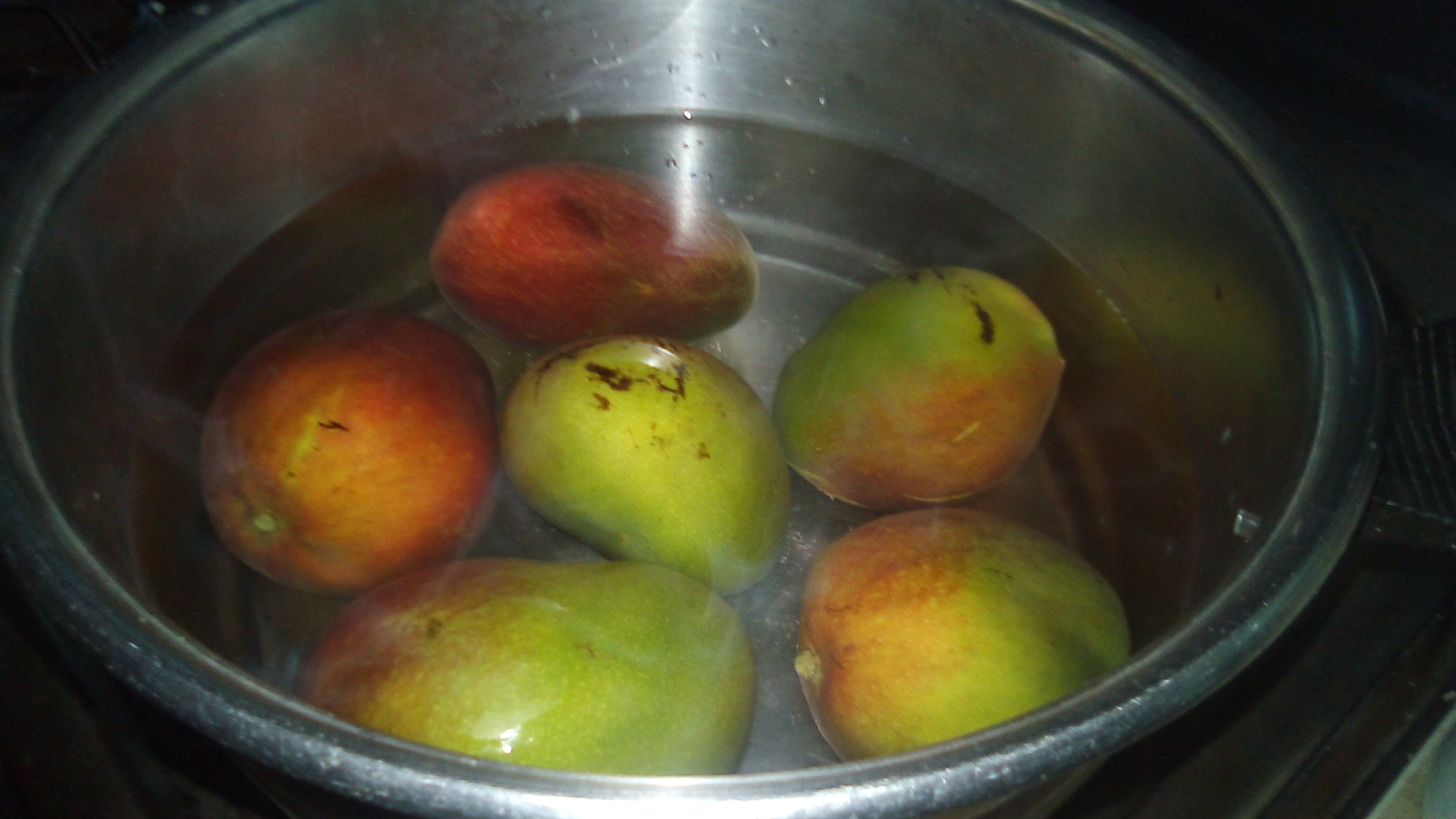 IMG-20210331-WA0014.jpeg