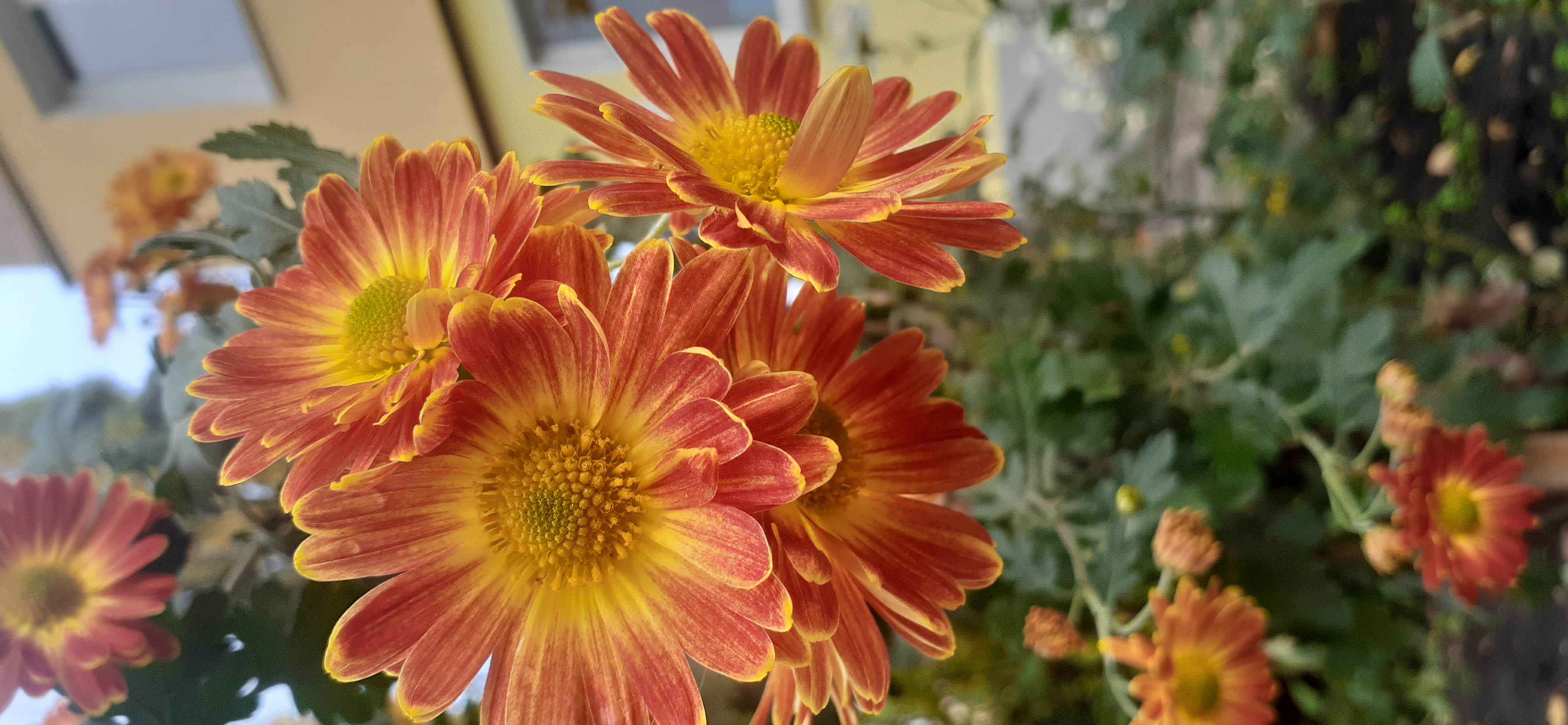 20201104_092905.jpg