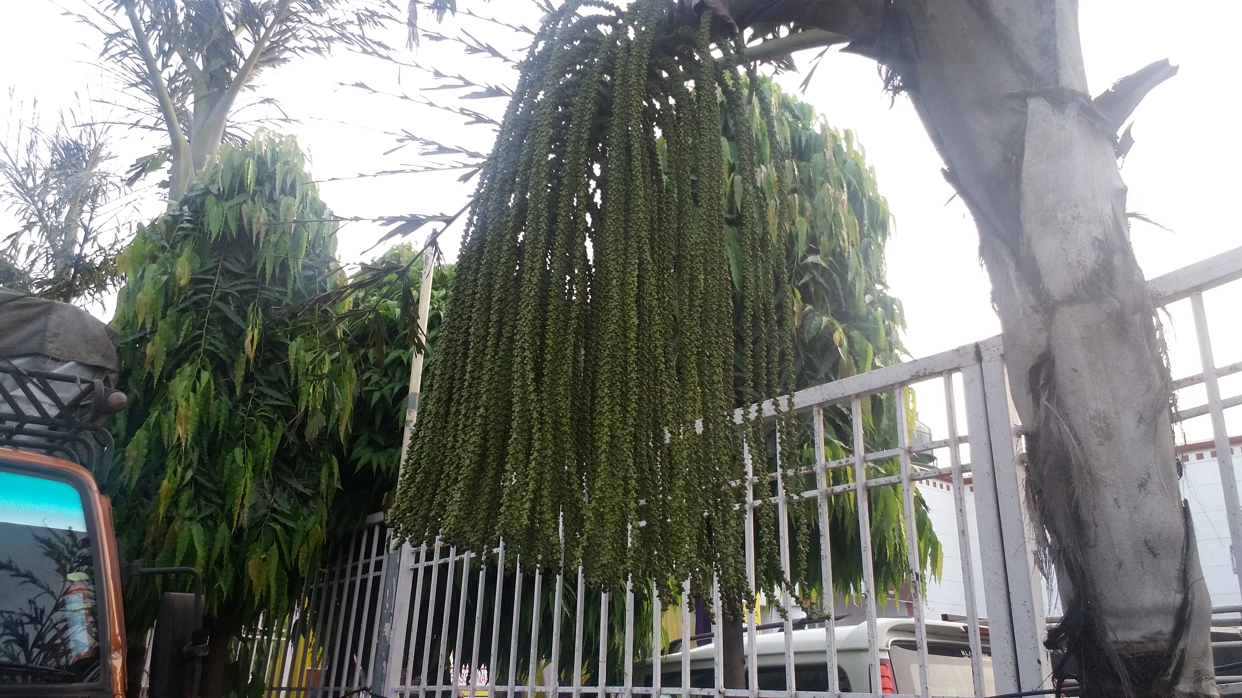 20180830_181811.jpg