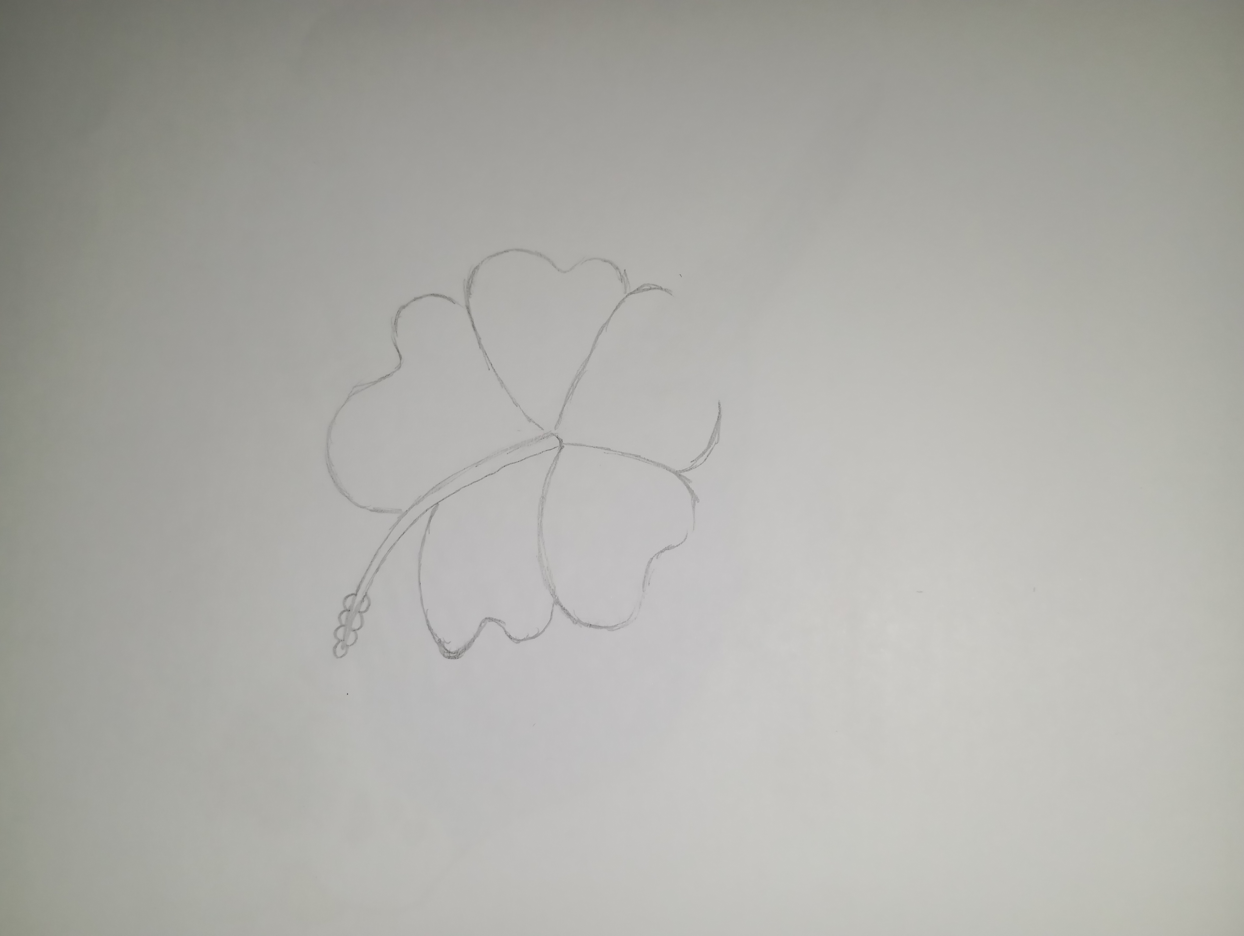 1000132201.jpg