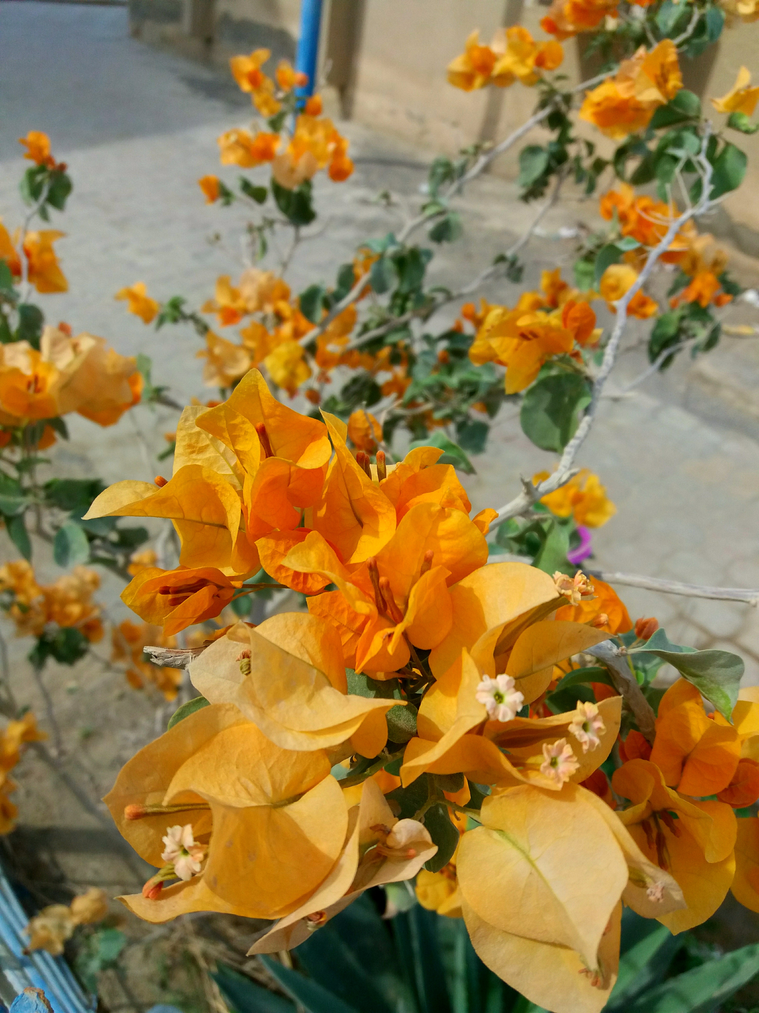 IMG_20200609_201143.jpg
