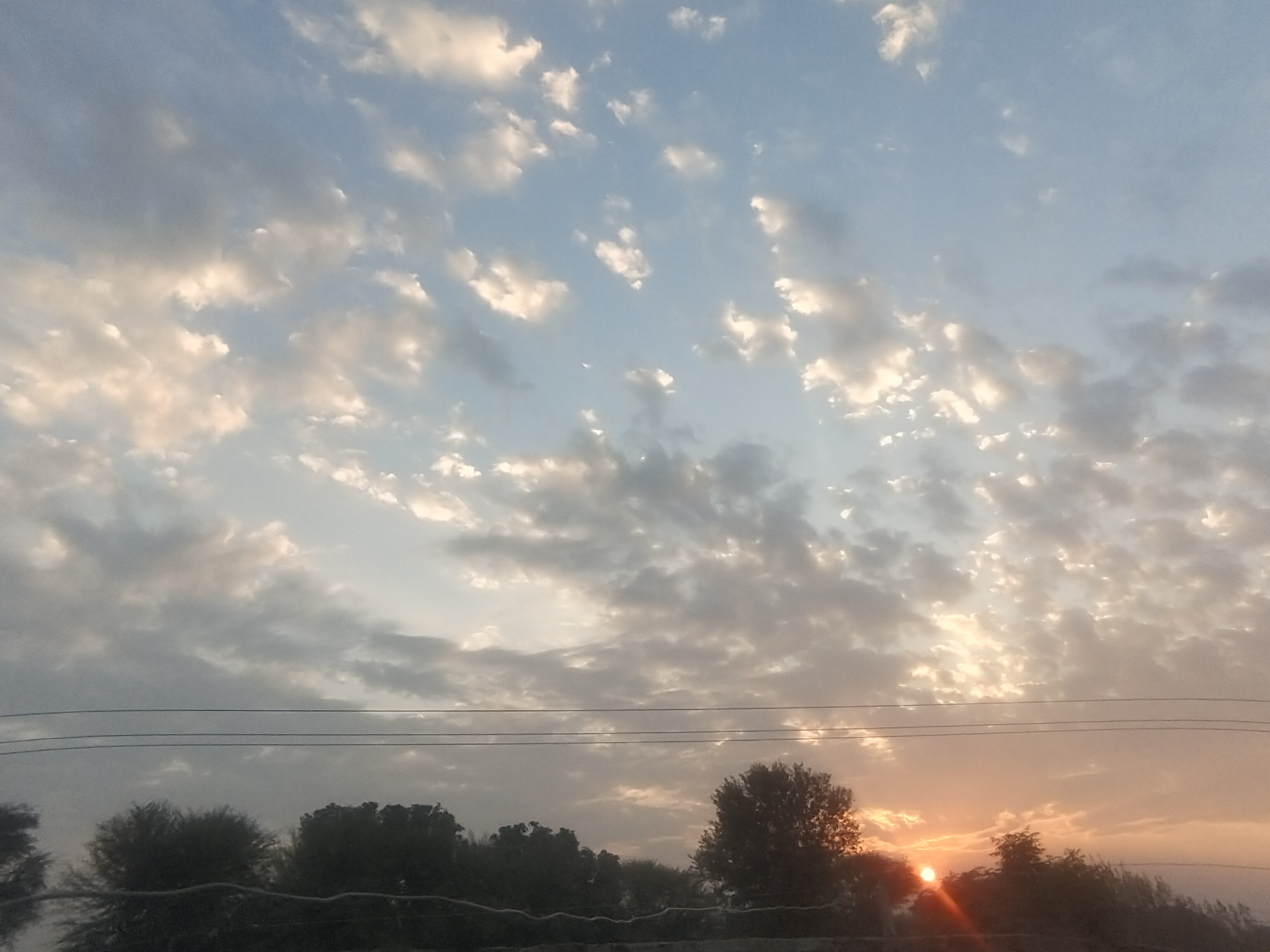 IMG_20221210_165140.jpg
