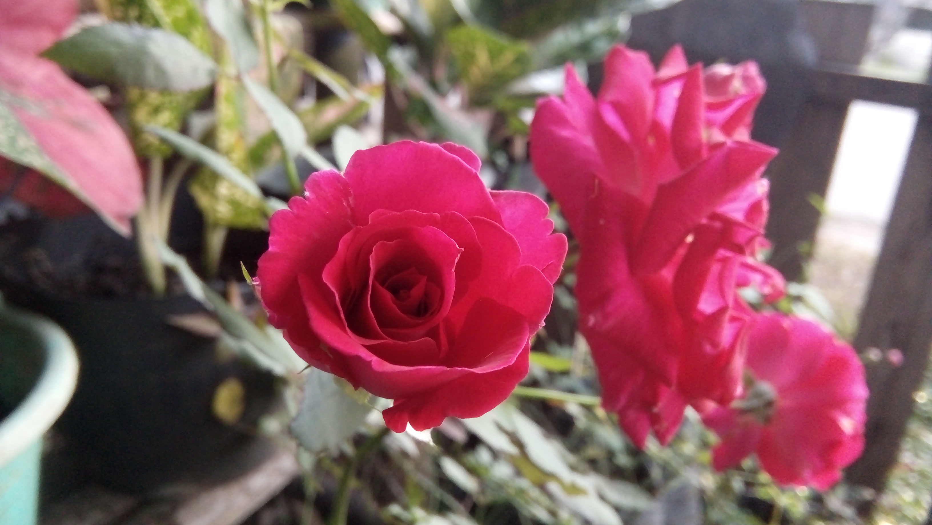 IMG20220122073950.jpg