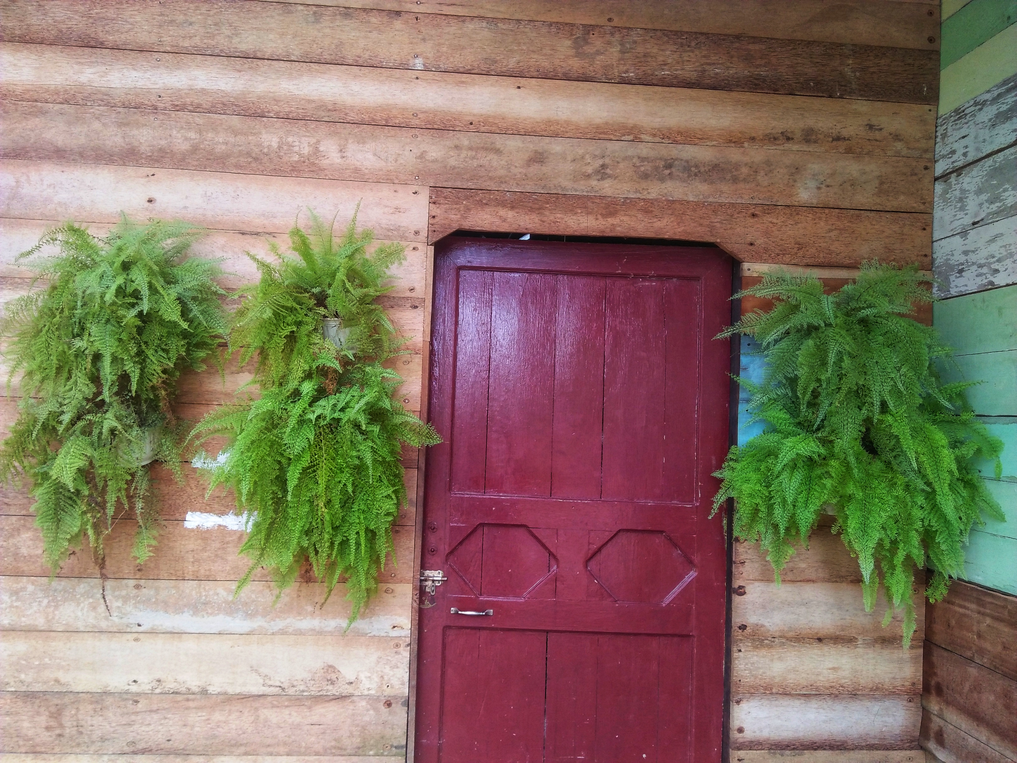 IMG20220110160657-01.jpeg