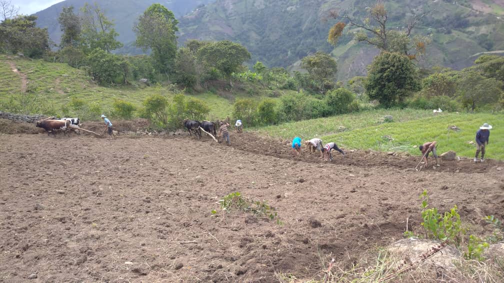 WhatsApp Image 2021-05-23 at 8.51.01 AM (3).jpeg