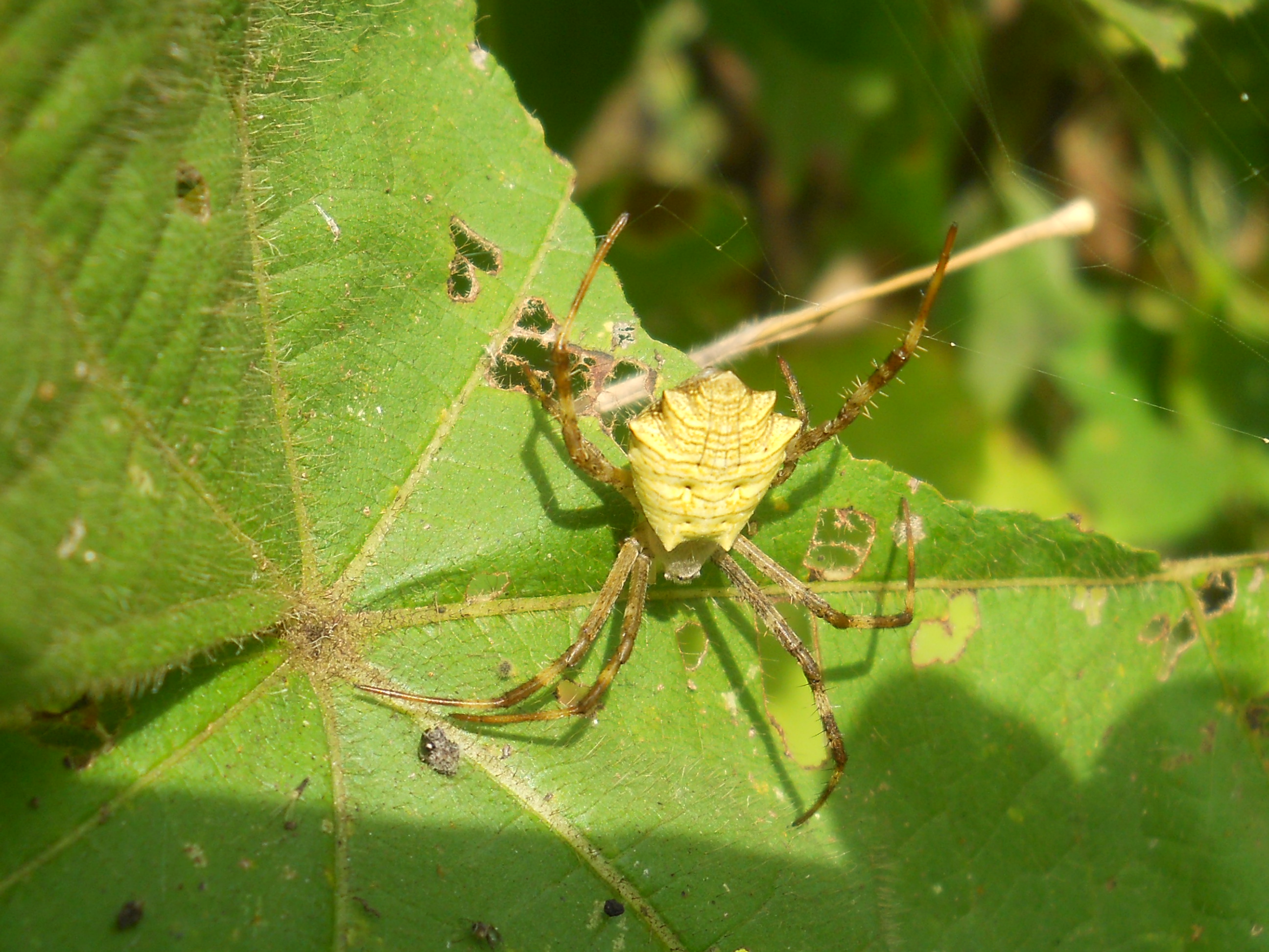 RSCN5067.JPG