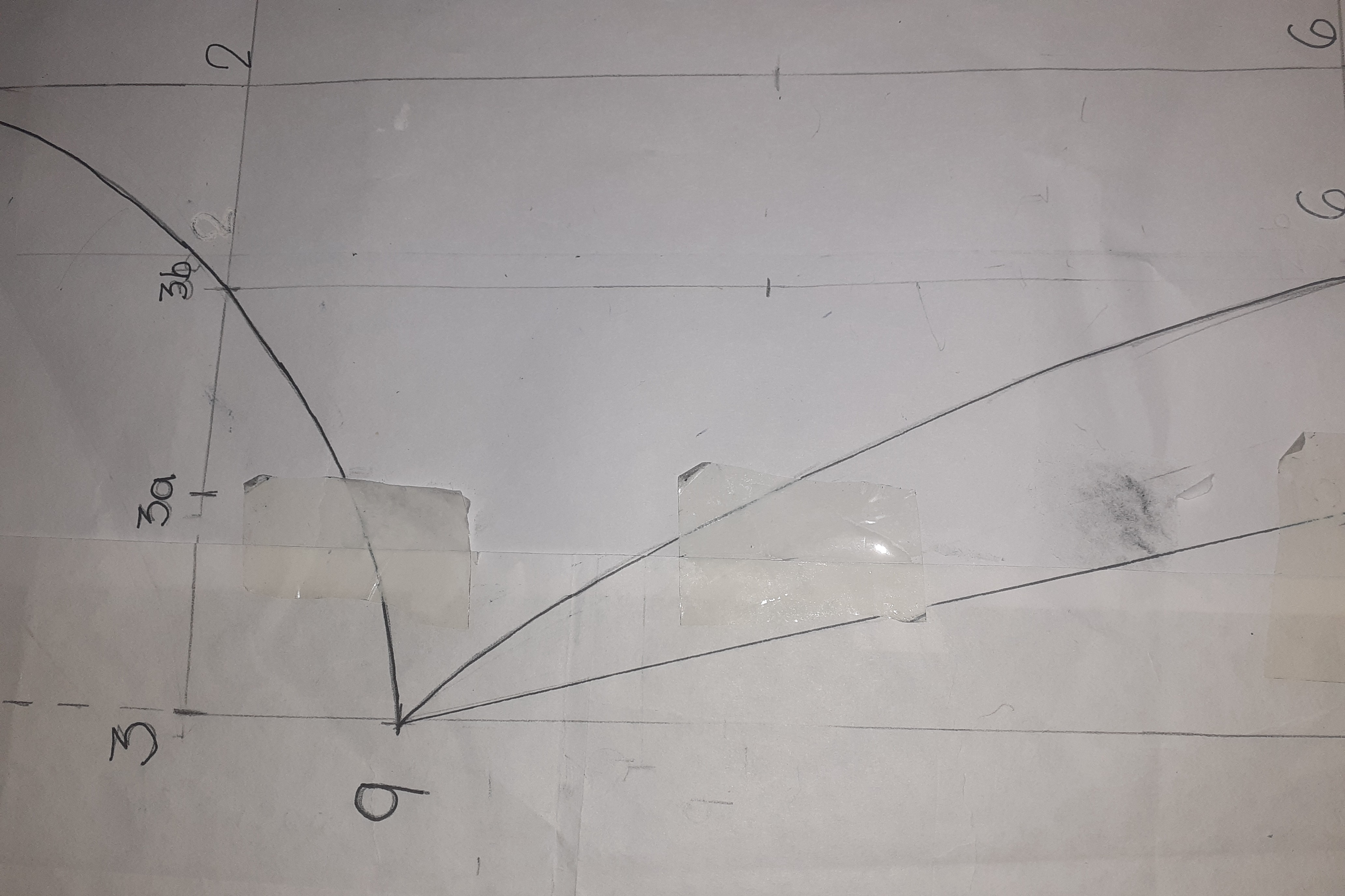 20241208_180643.jpg