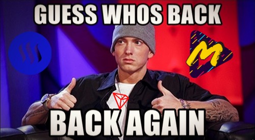 mfs is back.jpg