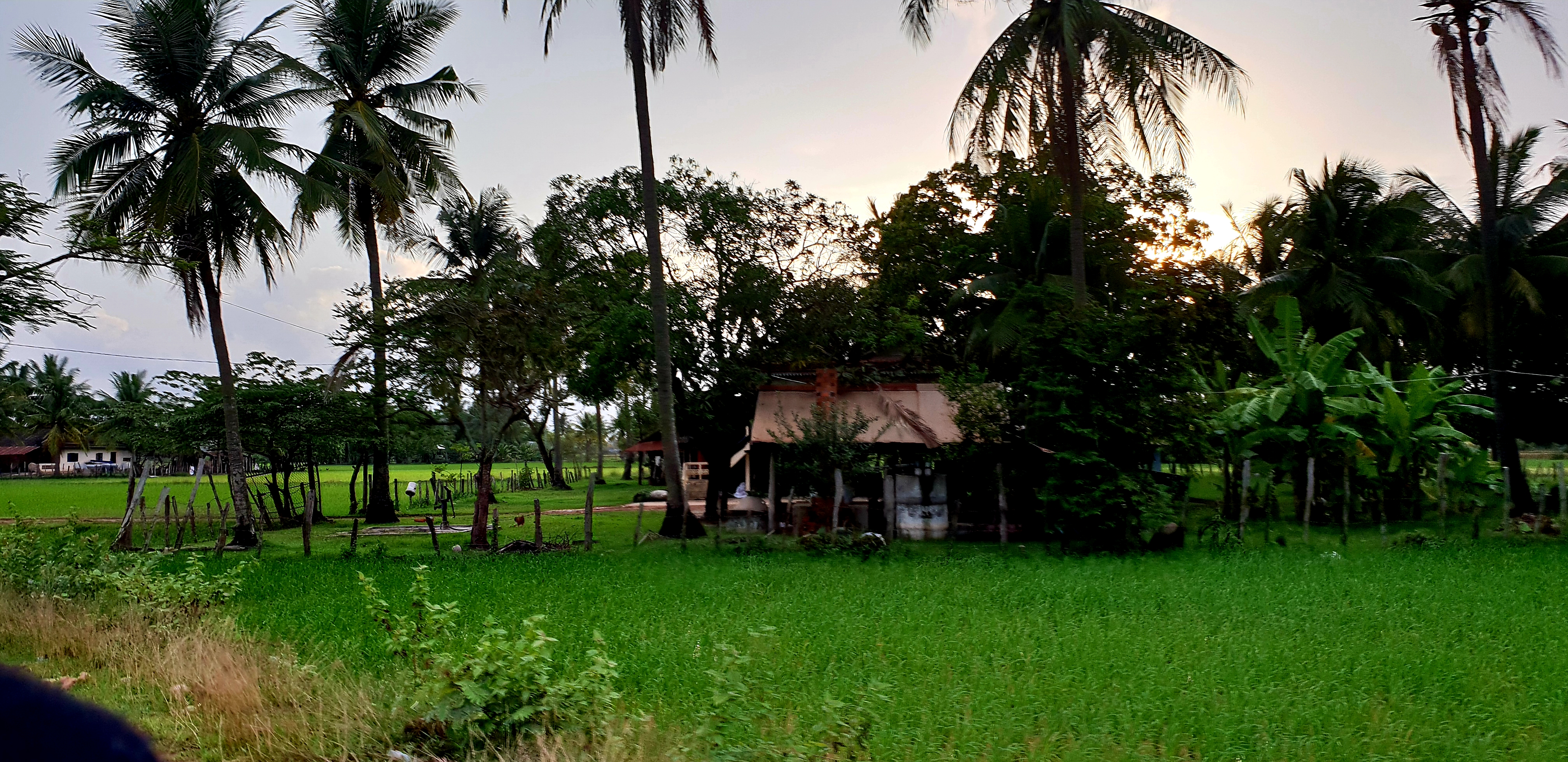 20180725_202914.jpg