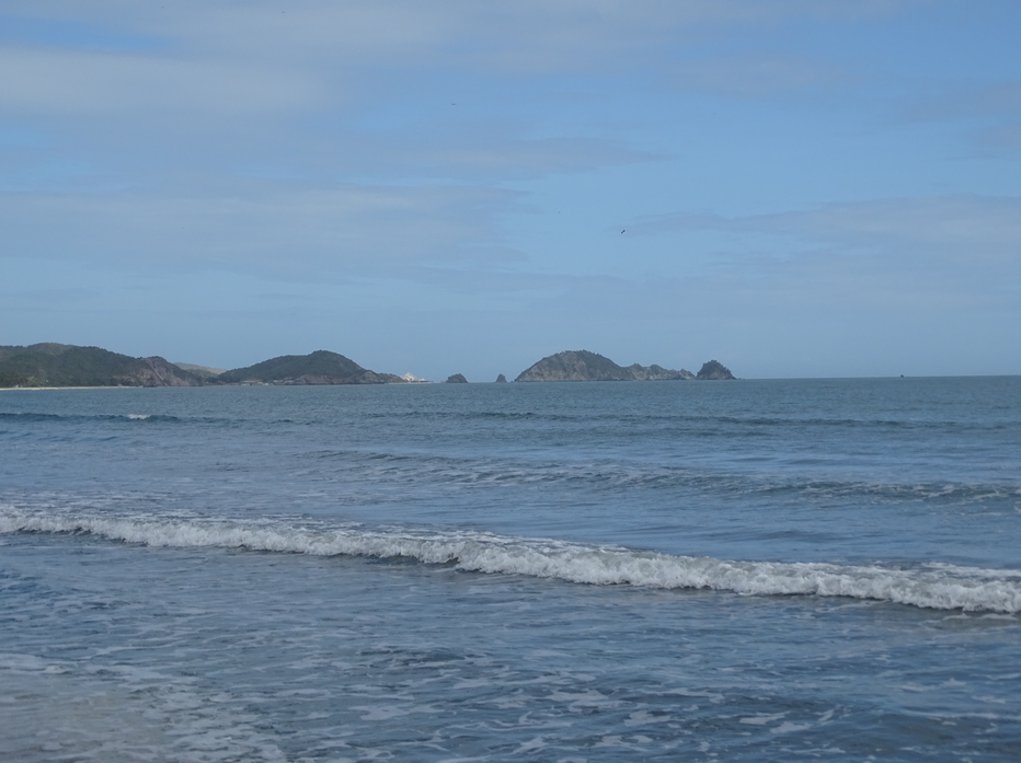 Captura de pantalla 2022-04-08 204336.png