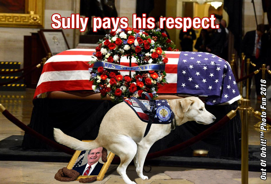 Sully copy.jpg