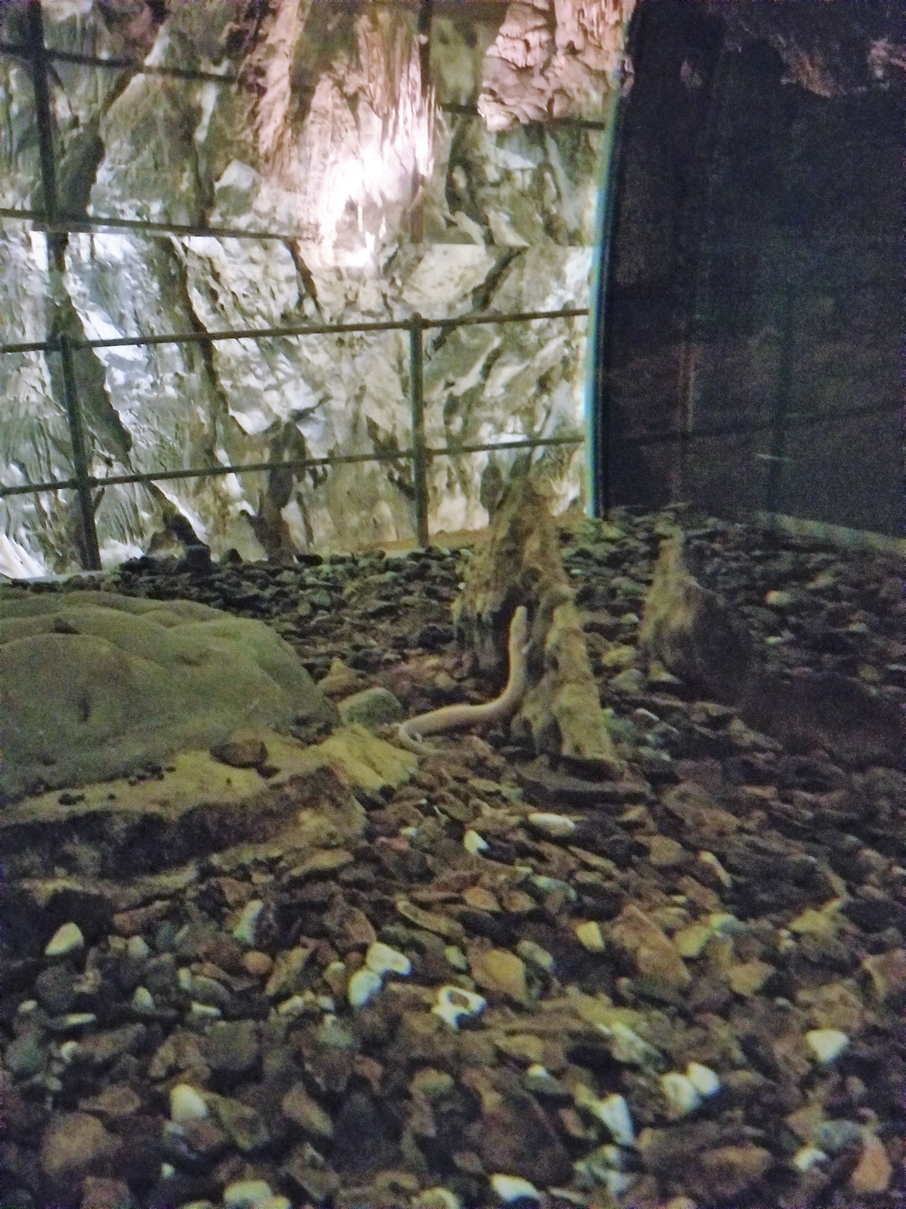 20180915_152333.jpg